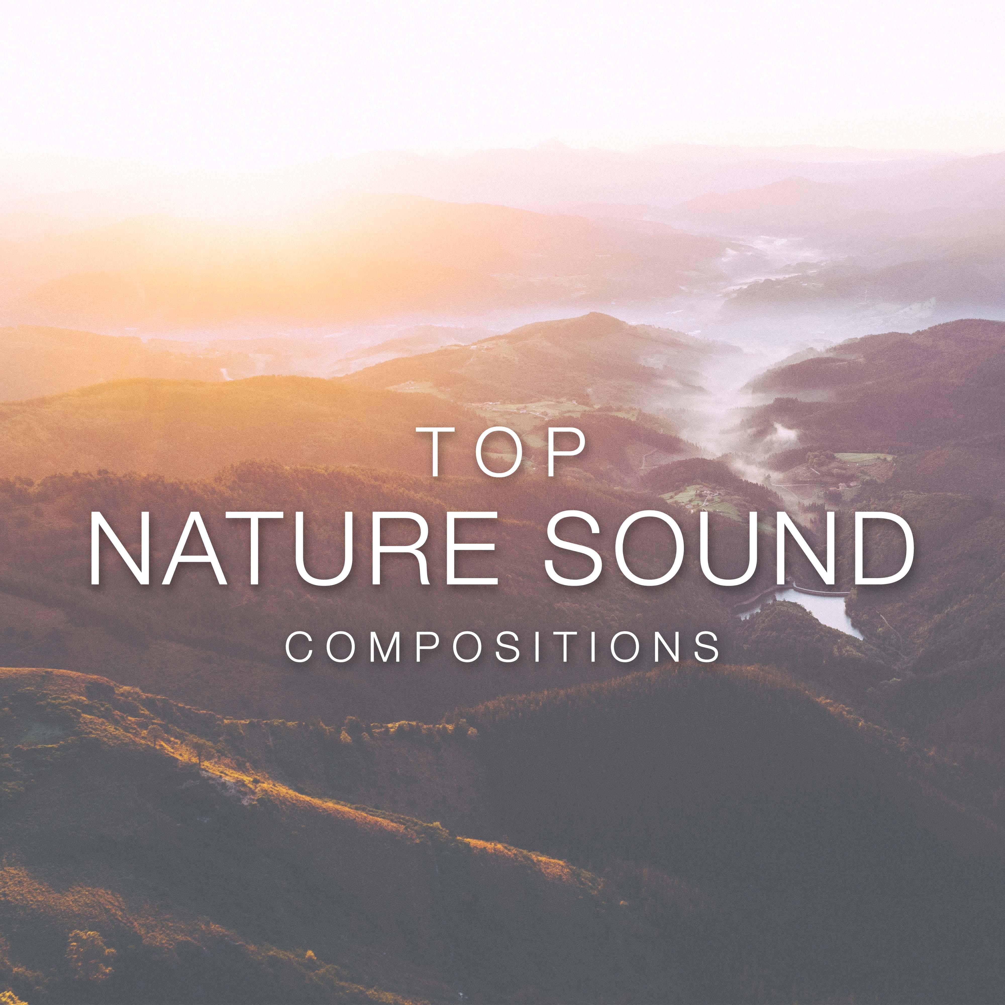 Top Nature Sound Compositions