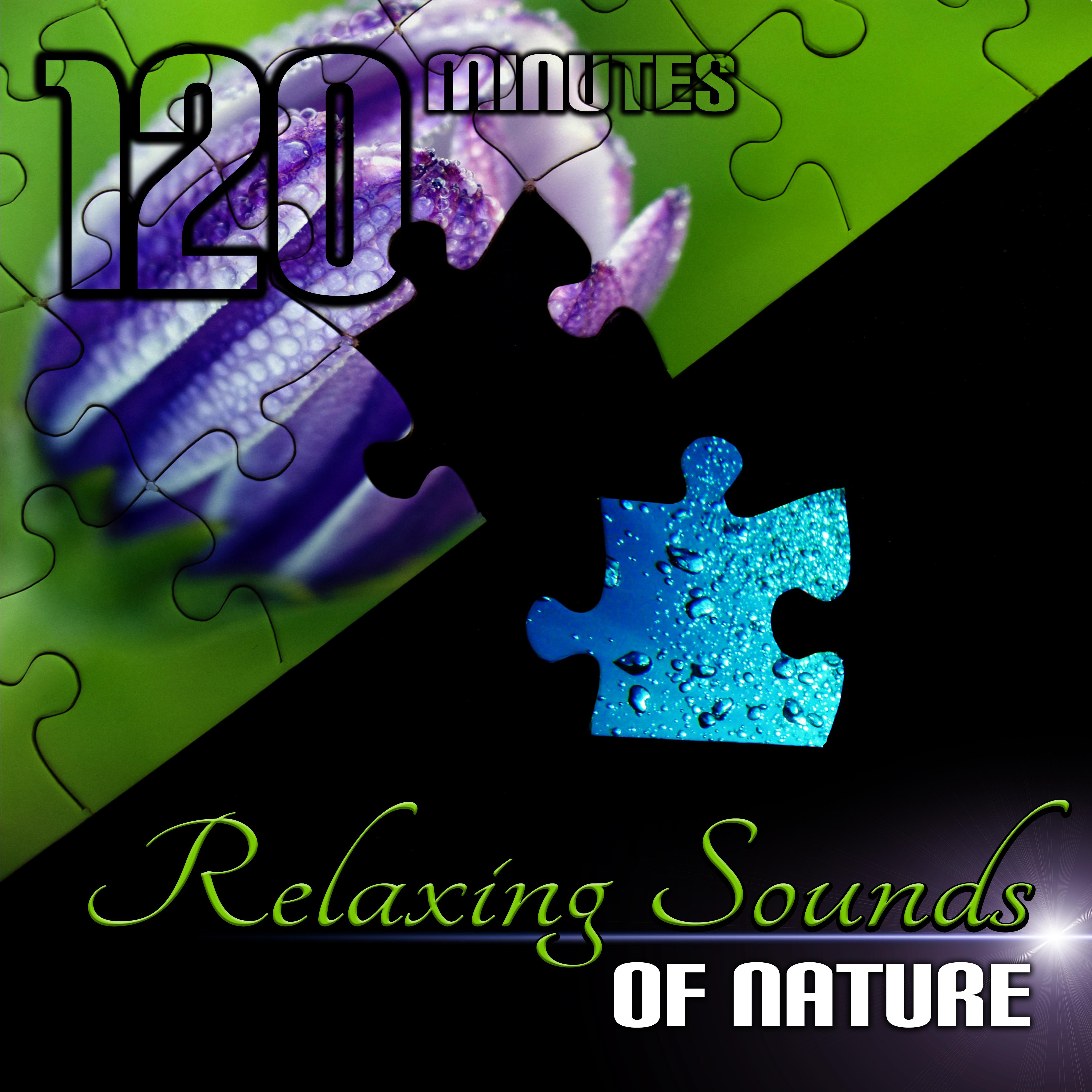 120 Minutes Relaxing Sounds of Nature for Deep Sleep, Meditation, Yoga, Home Spa, Total Relax, Reduce Stress