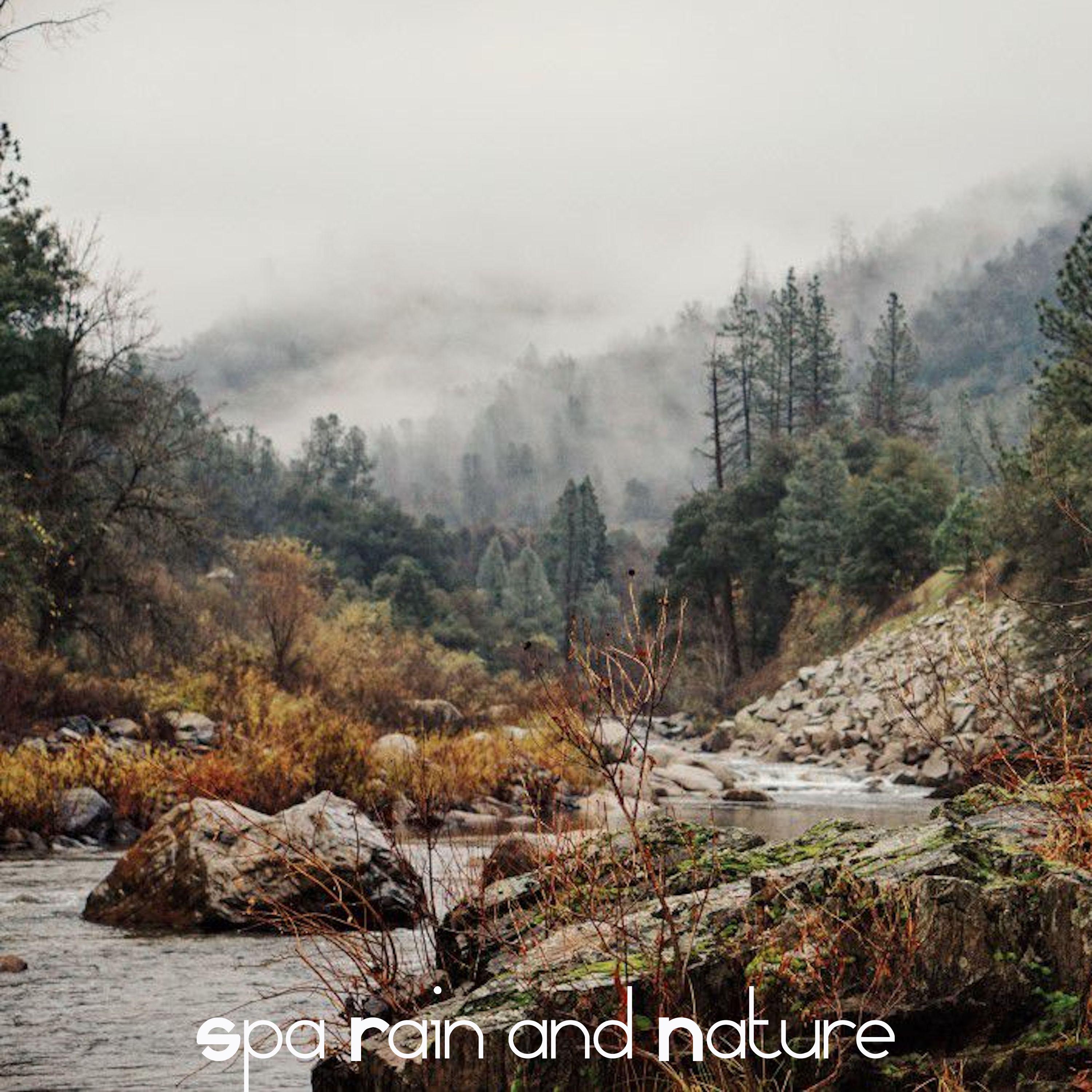 14 Zen Spa Rain and Nature Sounds Perfect for Looping for Yoga, Sleep or Meditation