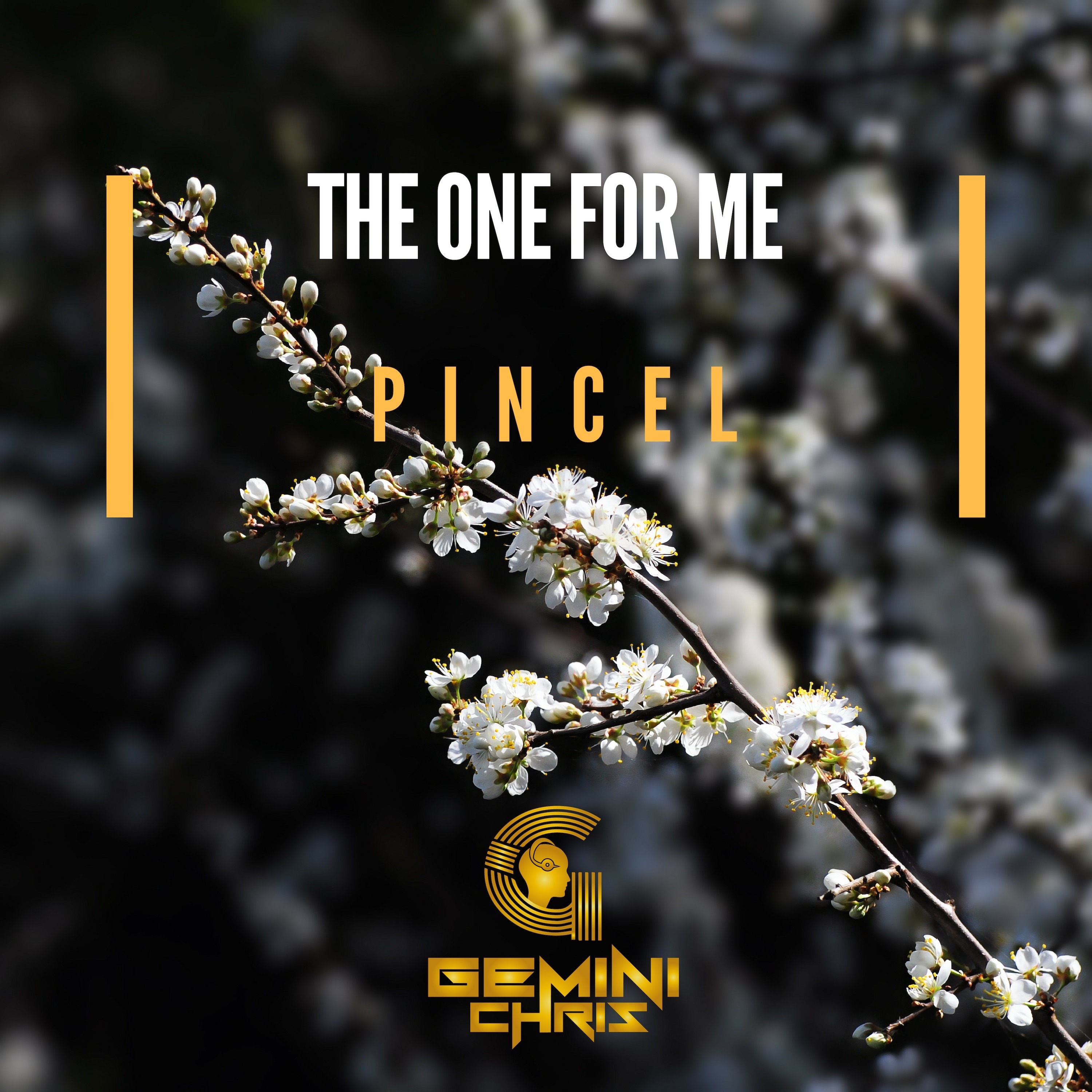 The One for Me / Pincel