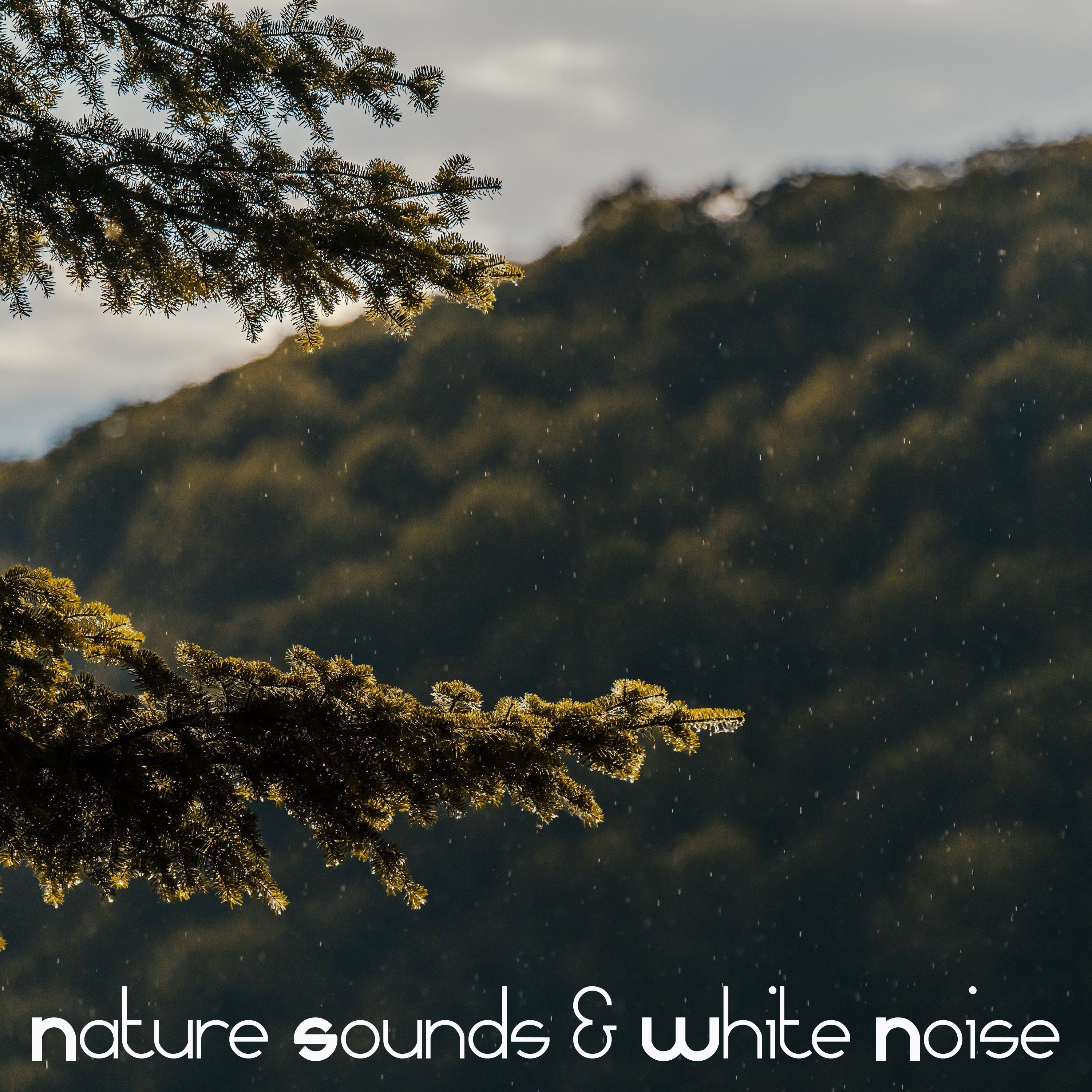 nature sounds & white noise