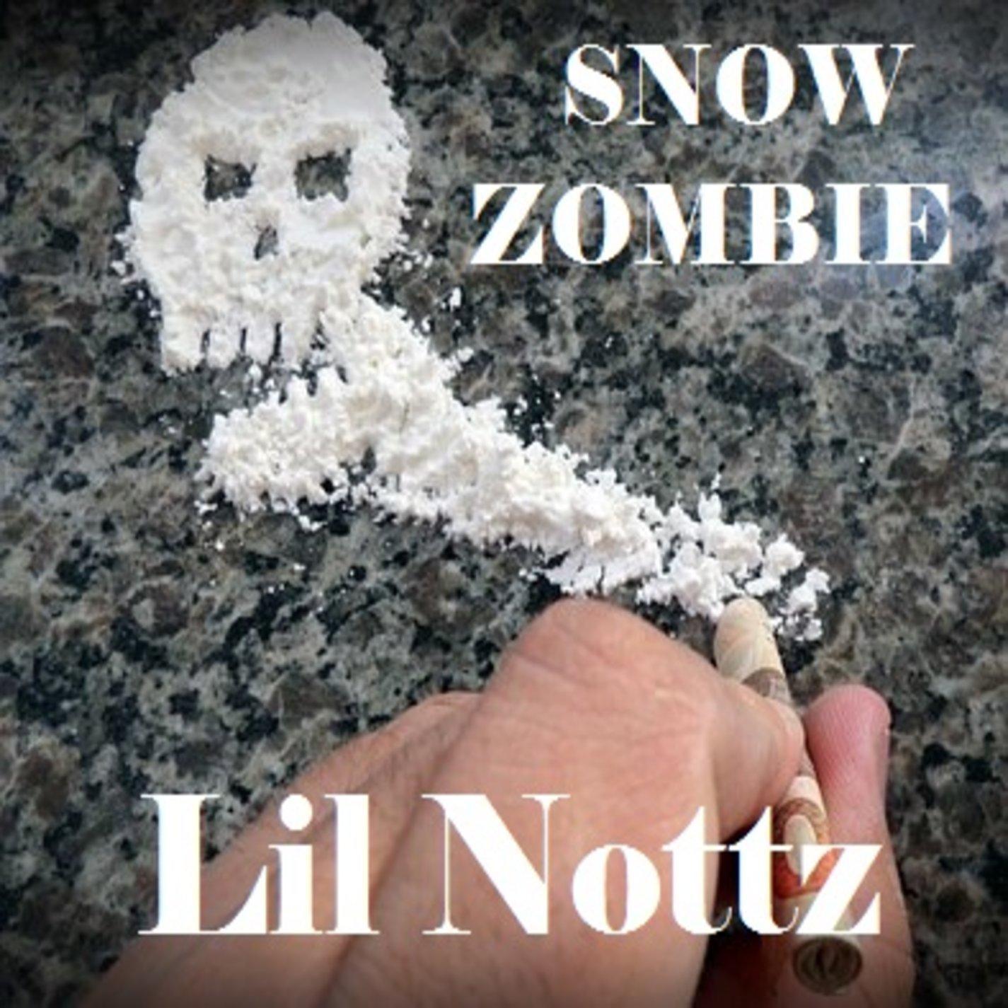 Snow Zombie