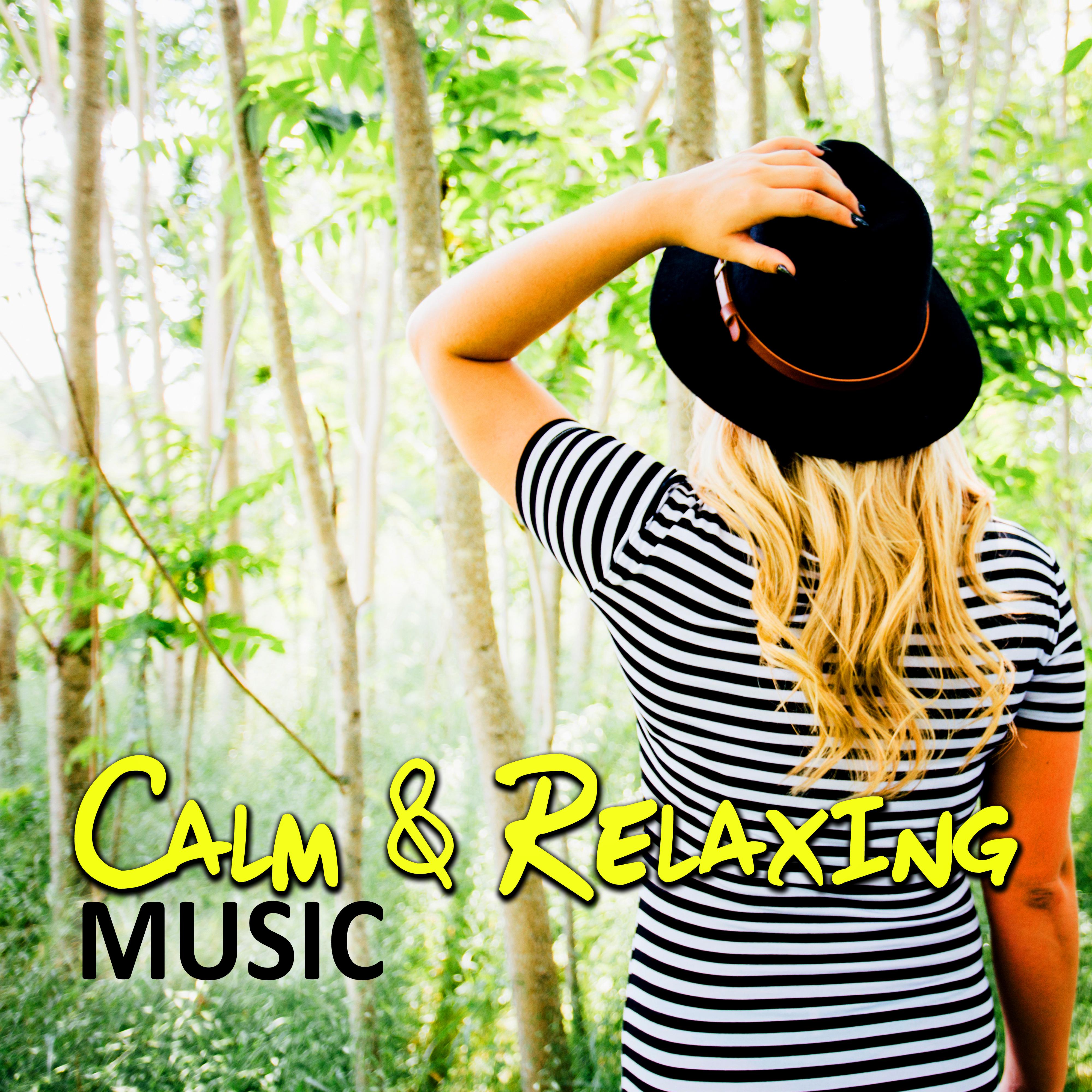 Calm & Relaxing Music - Soothing Music for Reduce Stress, Meditation, Good Mood, Sentimental Journey, Relaxation Music on Everyday, Cool Music
