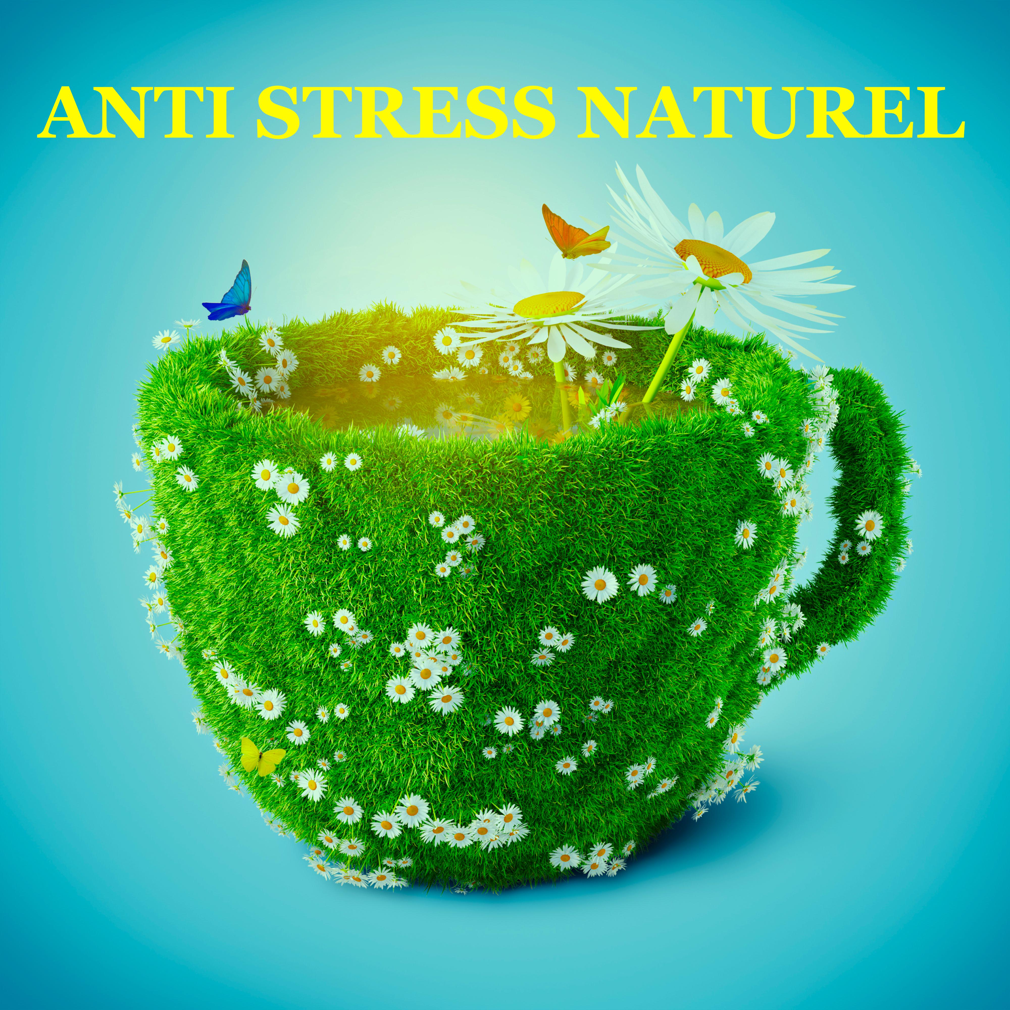 Anti Stress Naturel: Musique Newage avec Sons de la Nature pour Me ditation Profond et Combattre le Stress