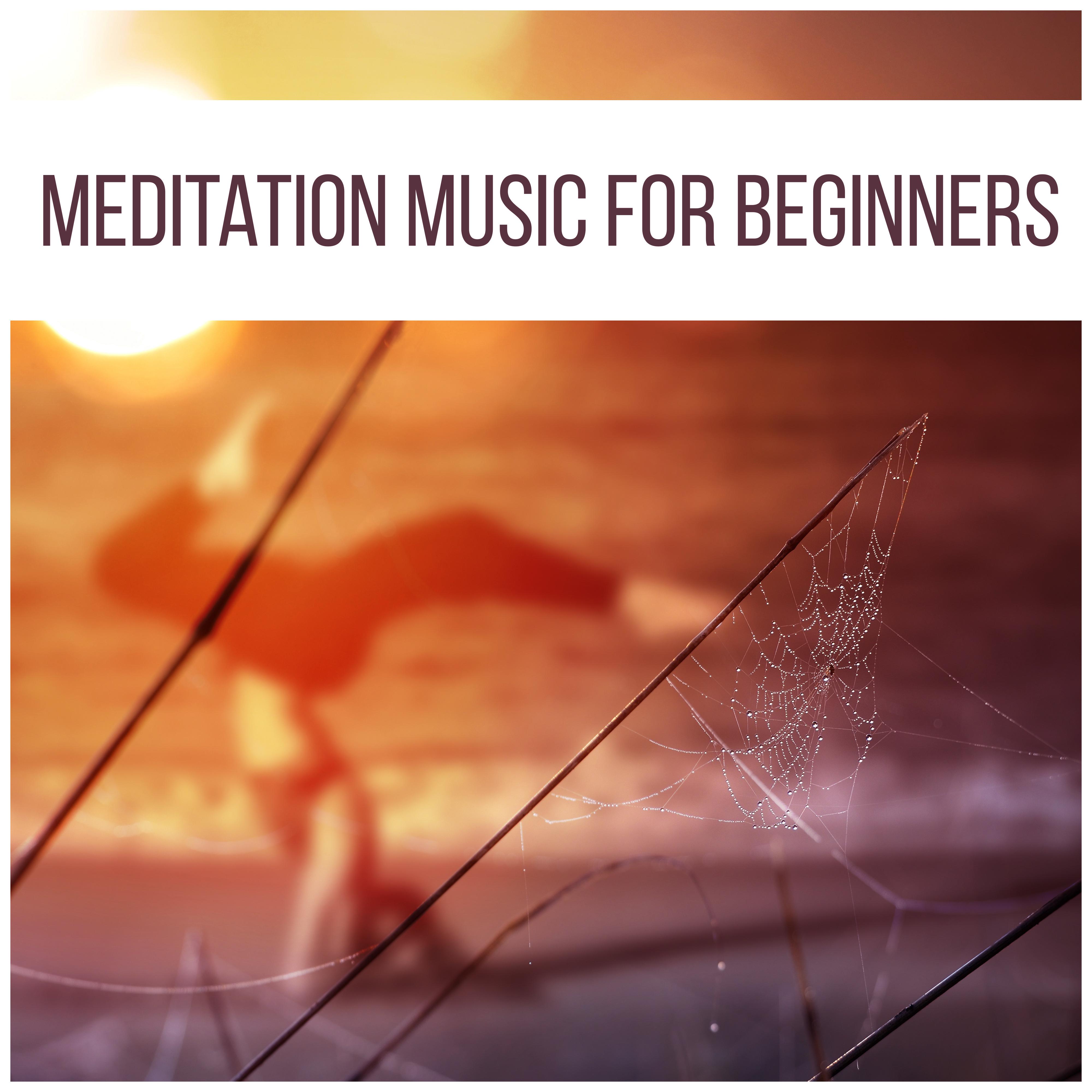 Meditation Music for Beginners  Nature Sounds for Yoga, Minfulness Meditation, Chakra, Zen, Kundalini