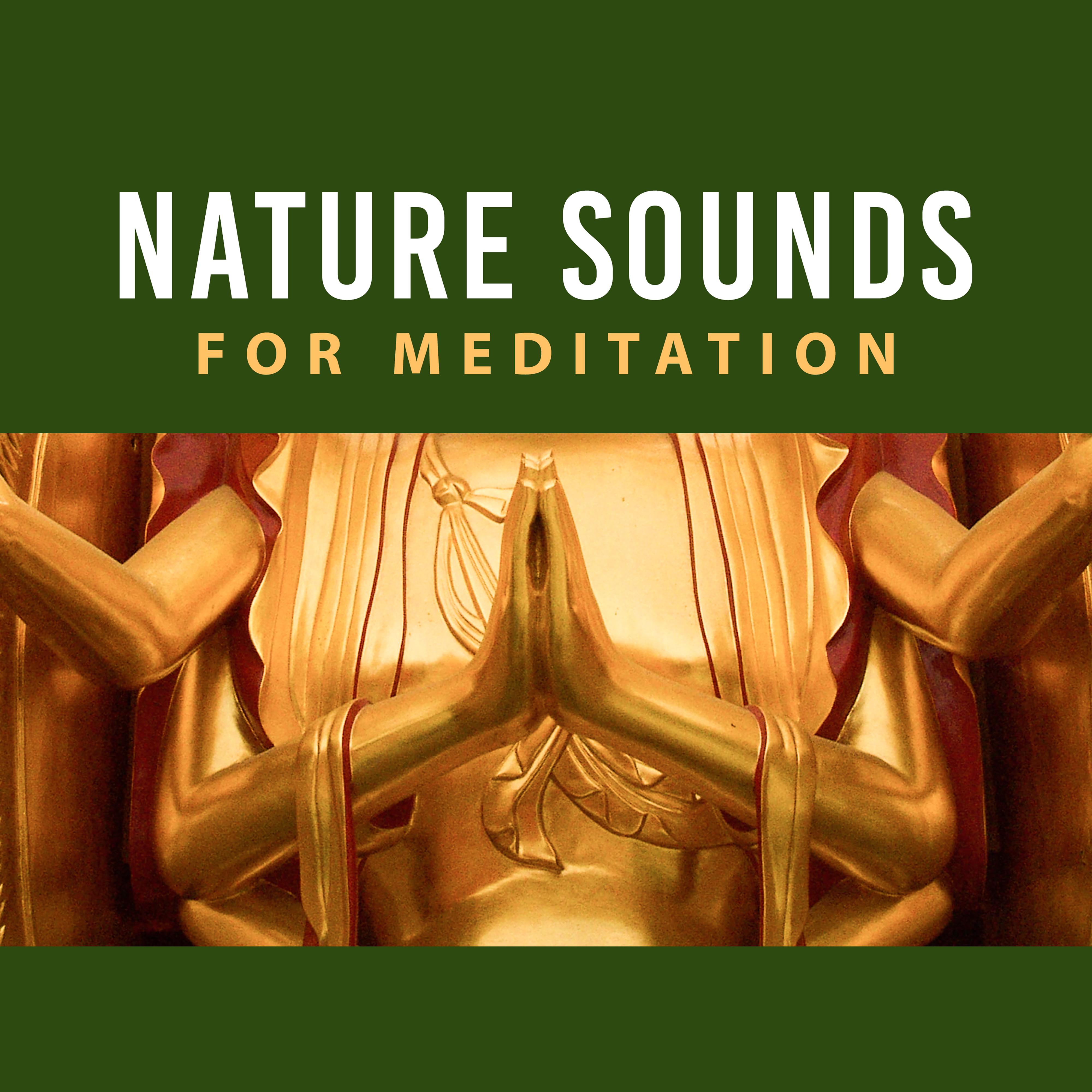 Nature Sounds for Meditation  Yoga Training, Spiritual Healing, Meditation Music, Focus, Peaceful Mind