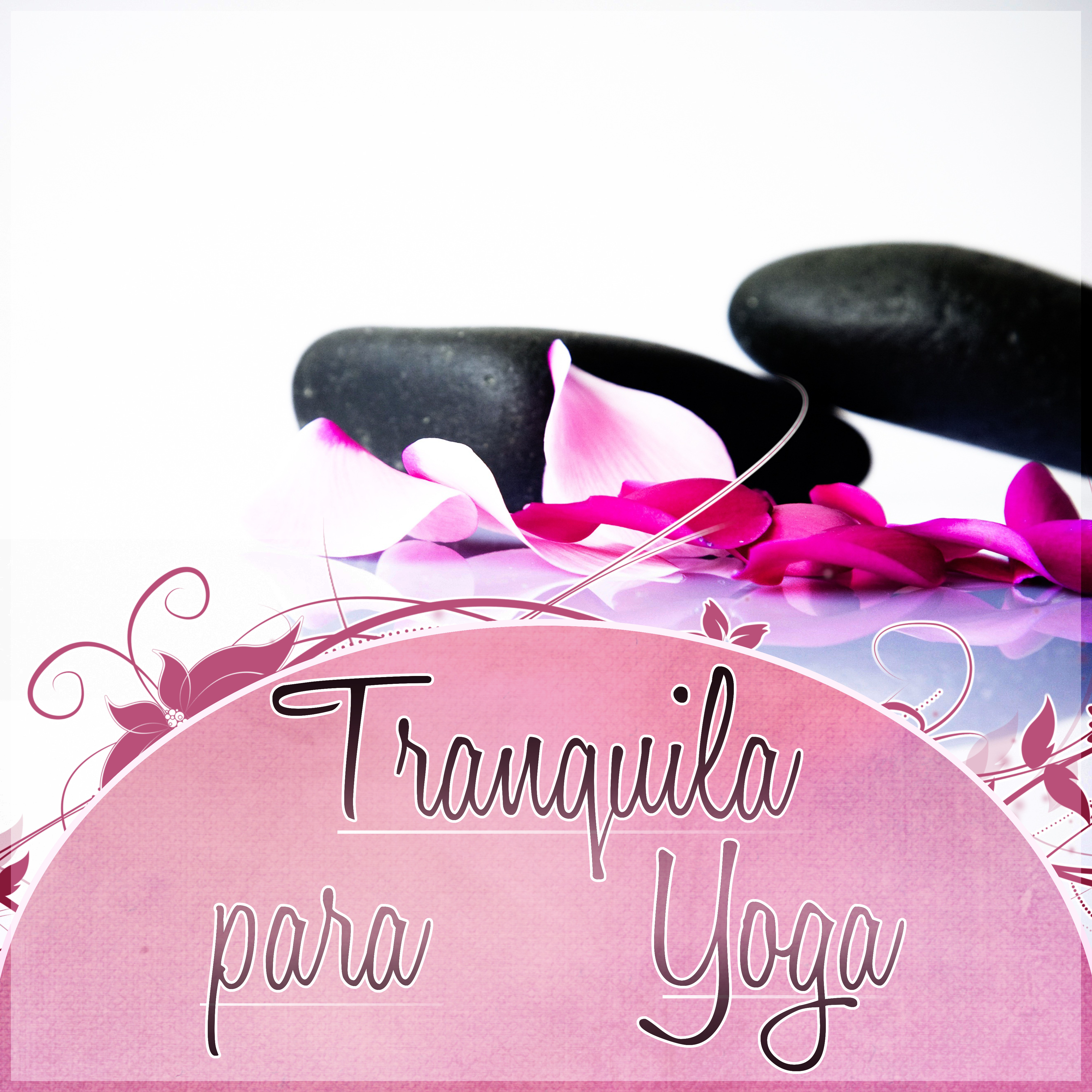 Tranquila para Yoga  Canciones para Dormir, Relajacio n y Bienestar para Mi, Estresse e Sono, Medita o e Espiritualidade New Age, Bem Estar, Pensamento Positivo, Massagem Mu sica