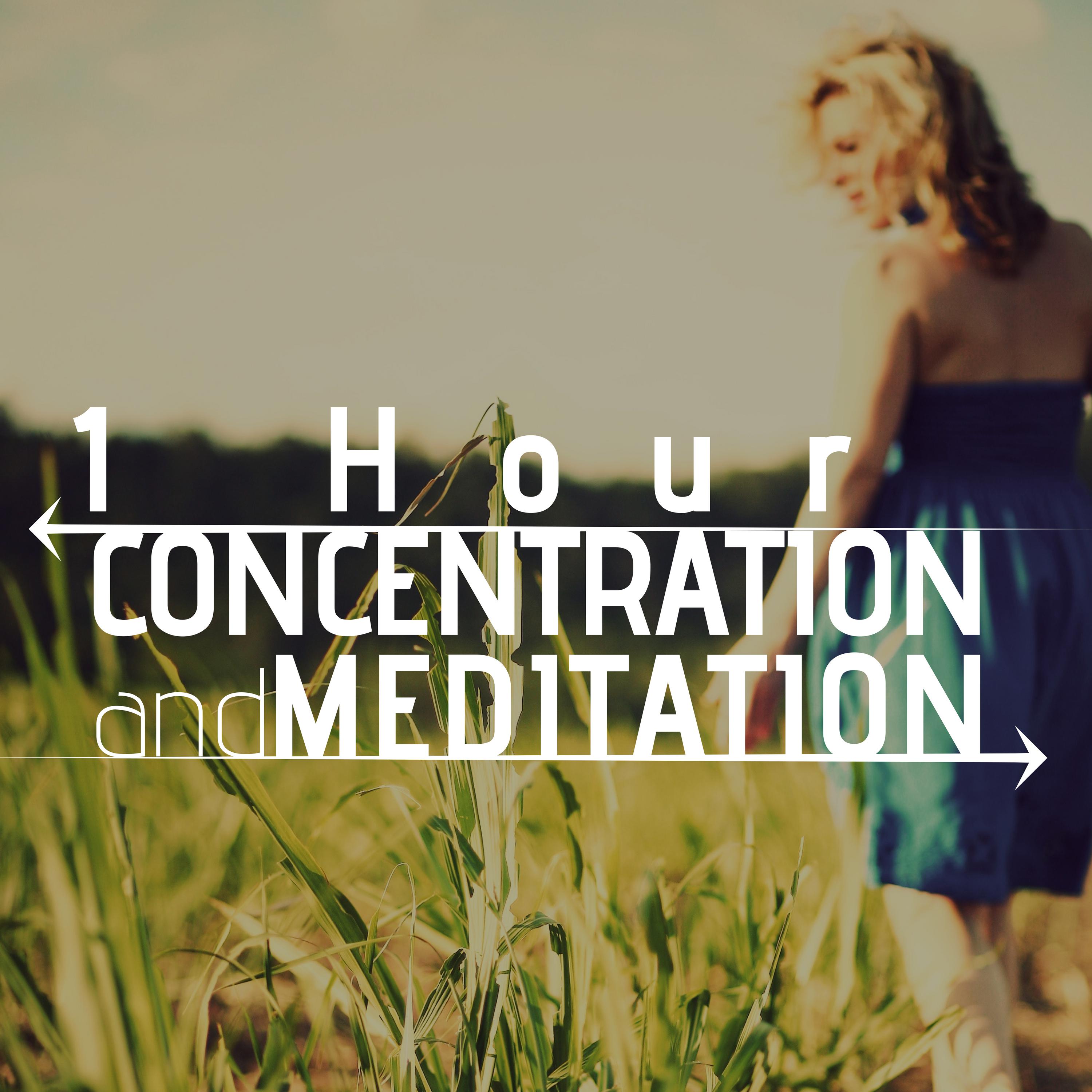 1 Hour of Concentration and Meditation