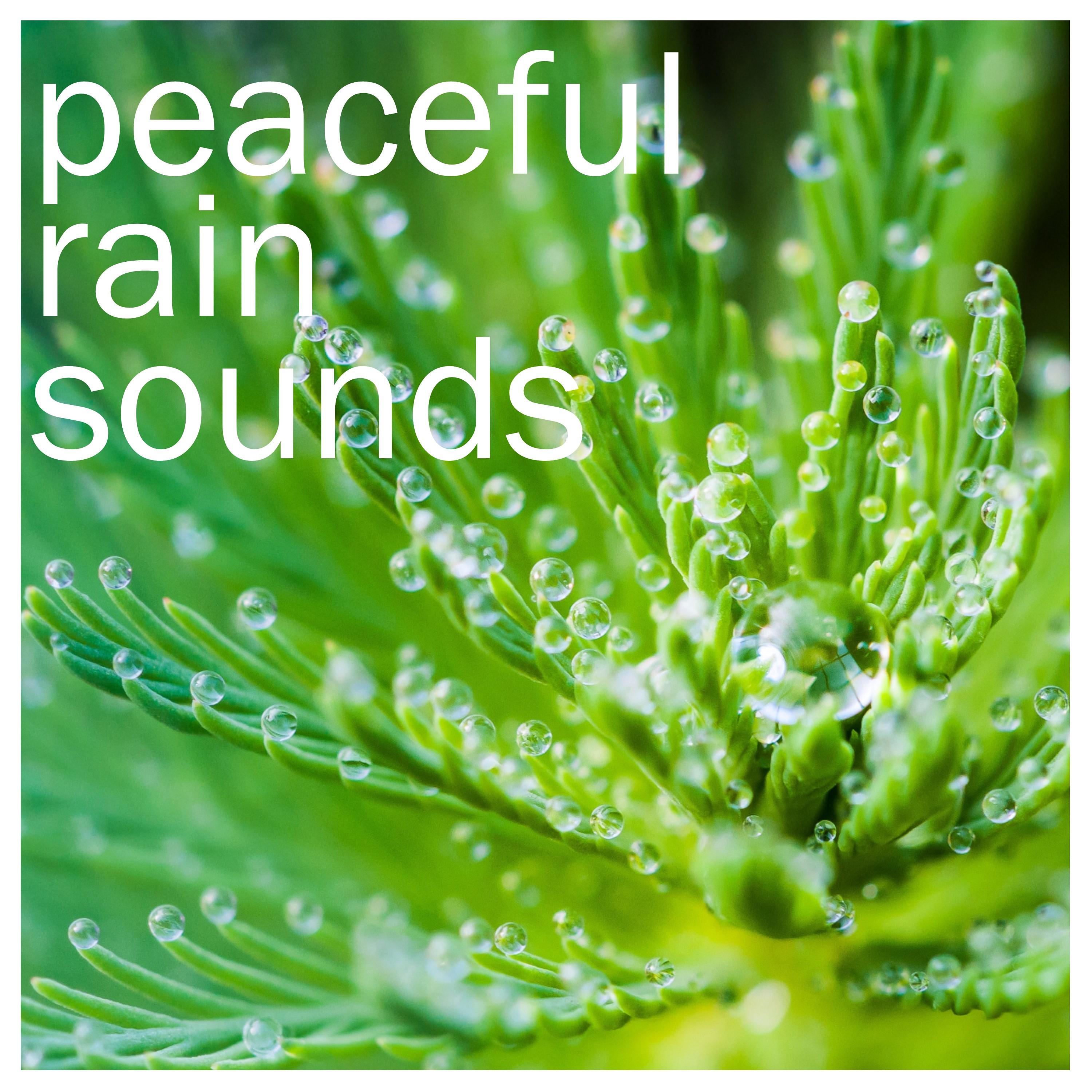 15 Rain Noises - Tranquility, Serenity, Inner Peace, Mantra, Focus & Zen