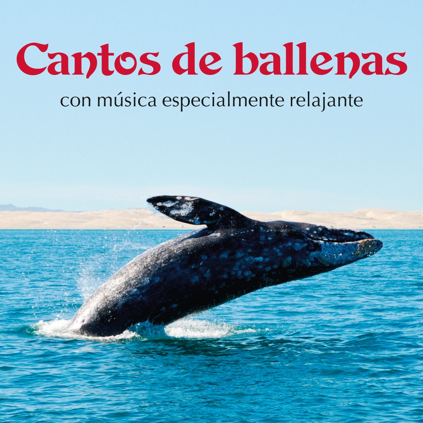 Canciones de las Ballenas Maravillosamente  paci ficas, Pt. 1