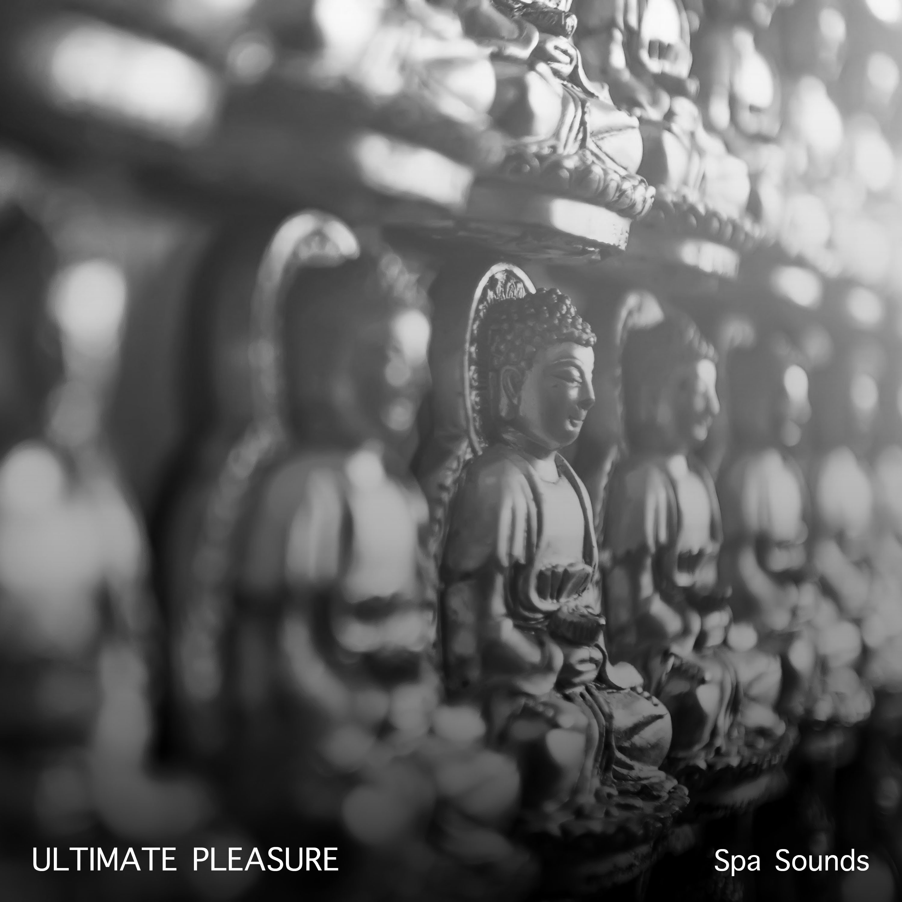 19 Ultimate Pleasure Spa Sounds