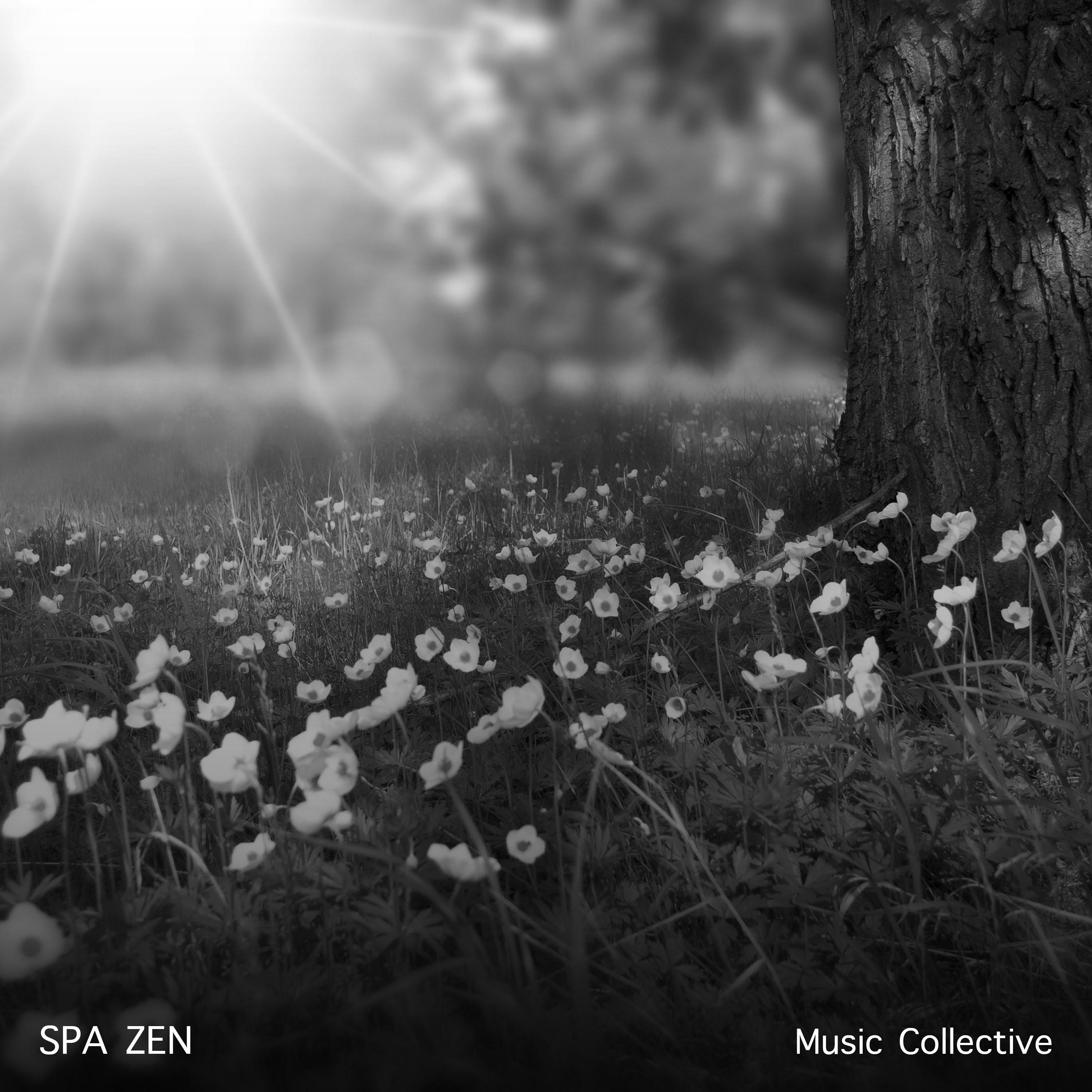 15 Sounds from the Music Collective: Spa Zen