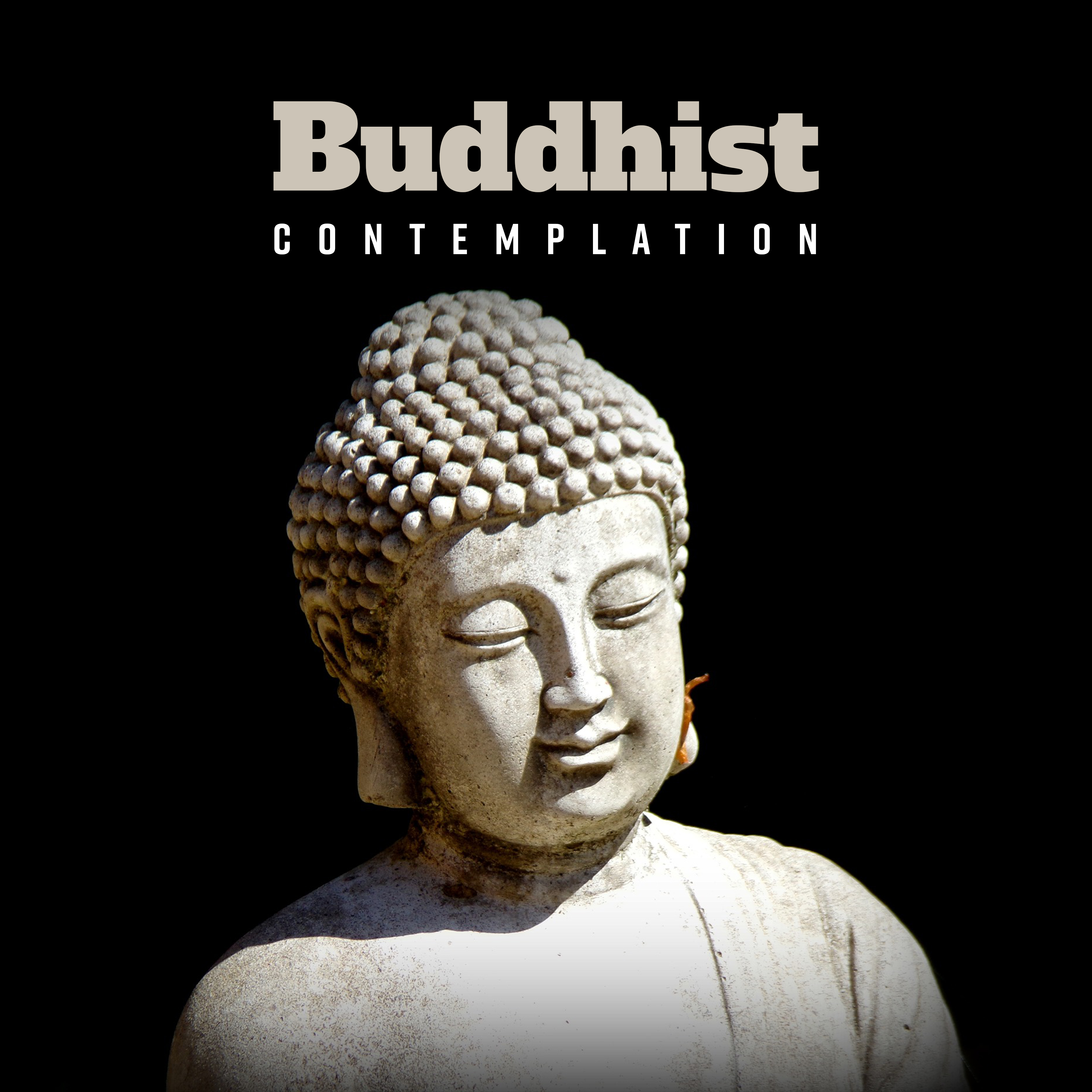 Buddhist Contemplation