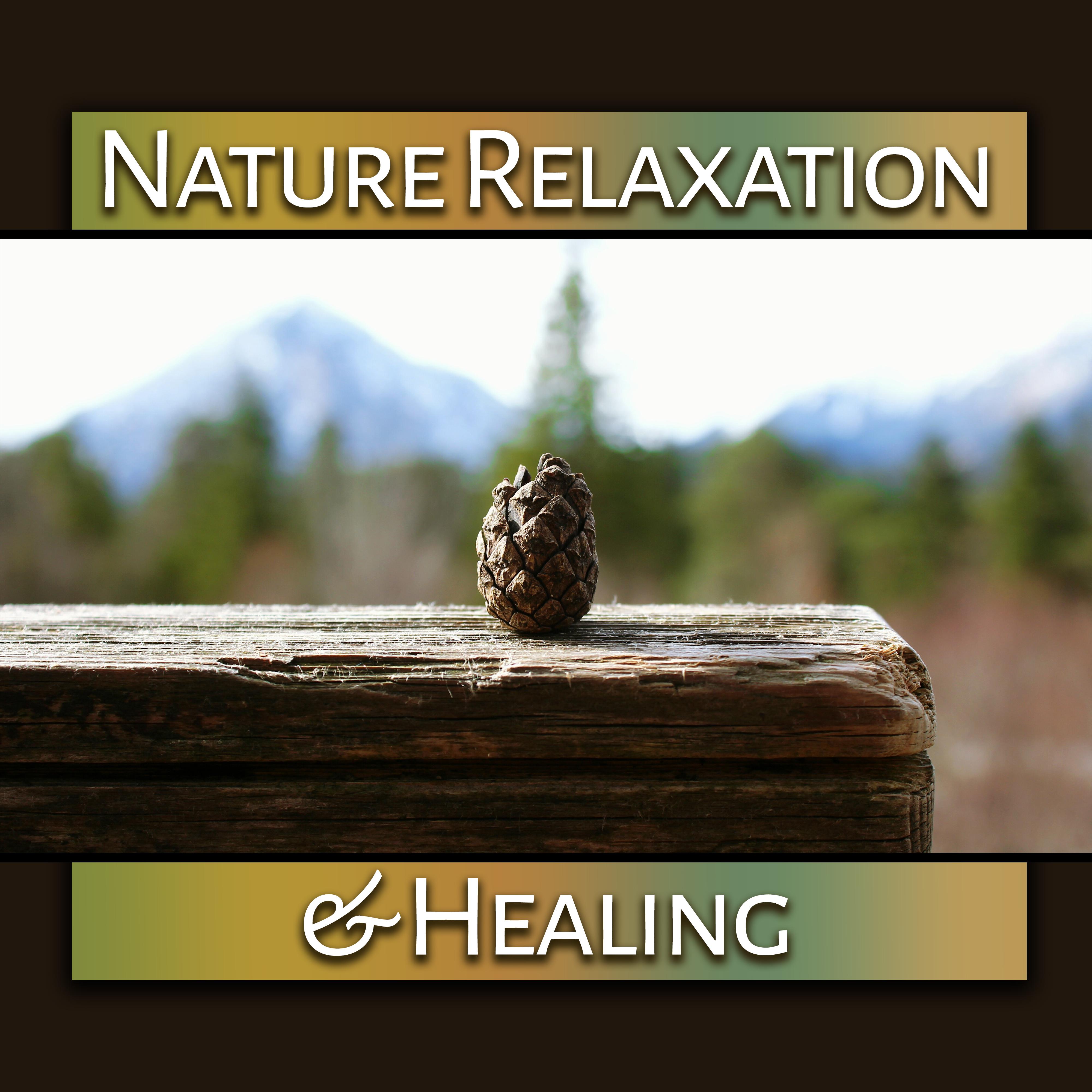 Nature Relaxation  Healing  Soothing Sounds, Clarity and Strength of Will, Water Waves