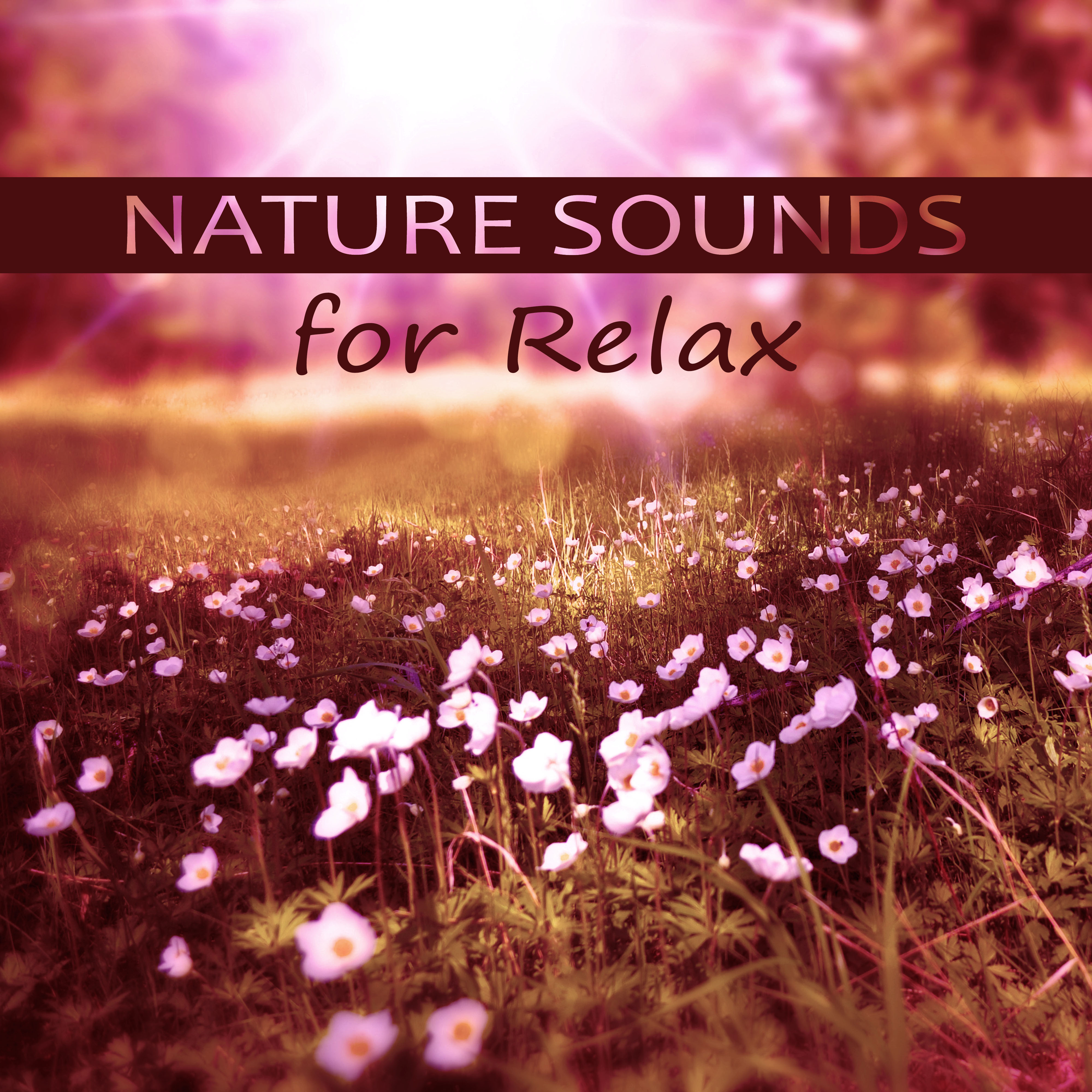 Nature Sounds for Relax  Deep Music for Meditation, Calm Music for Relaxation, Nature Sounds, Inspiring Piano Music