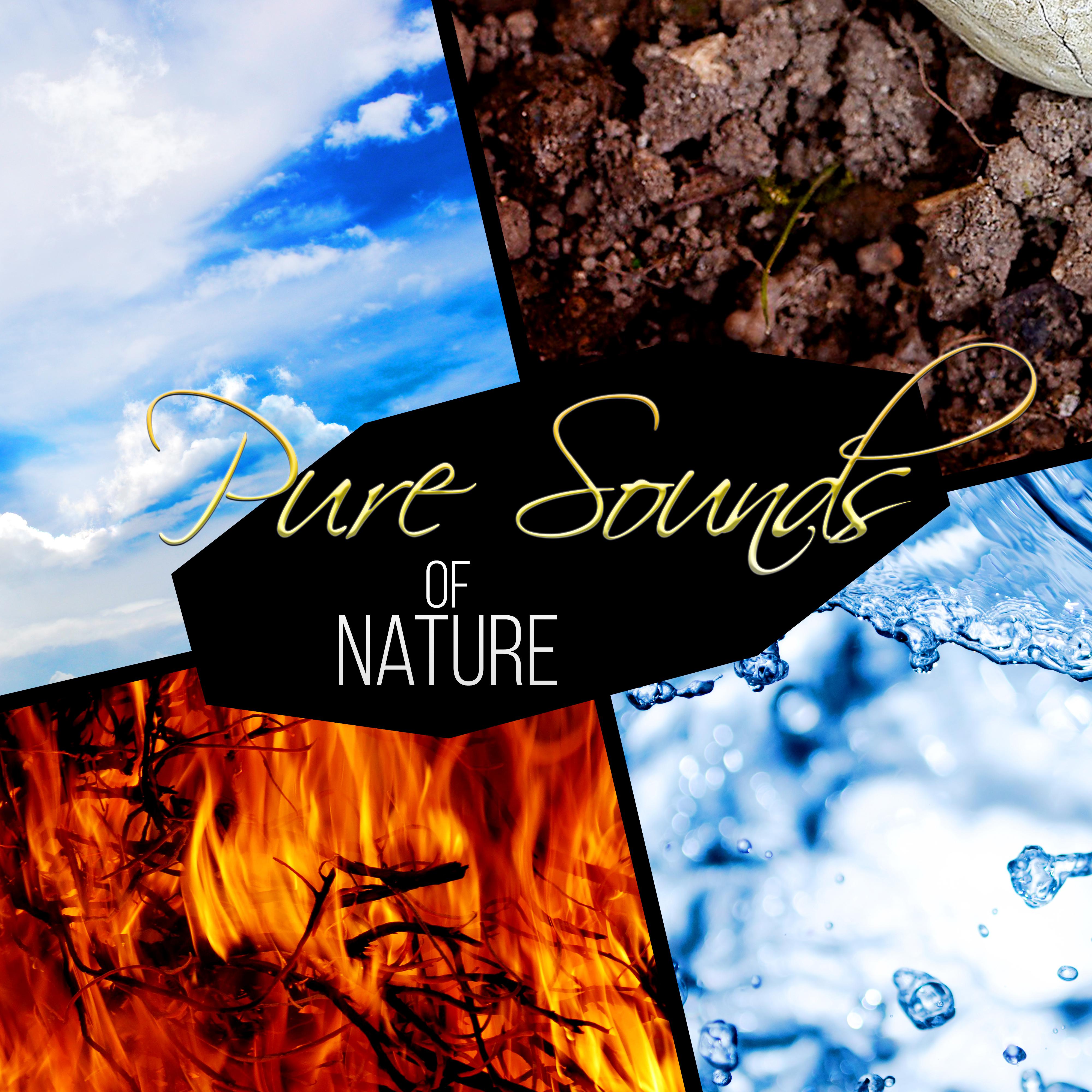 Pure Sounds of Nature  Relaxing Sounds Ocean Waves, Birds Sing, Crickets, Rain, Thunderstorm, Wind, Waterfalls and River