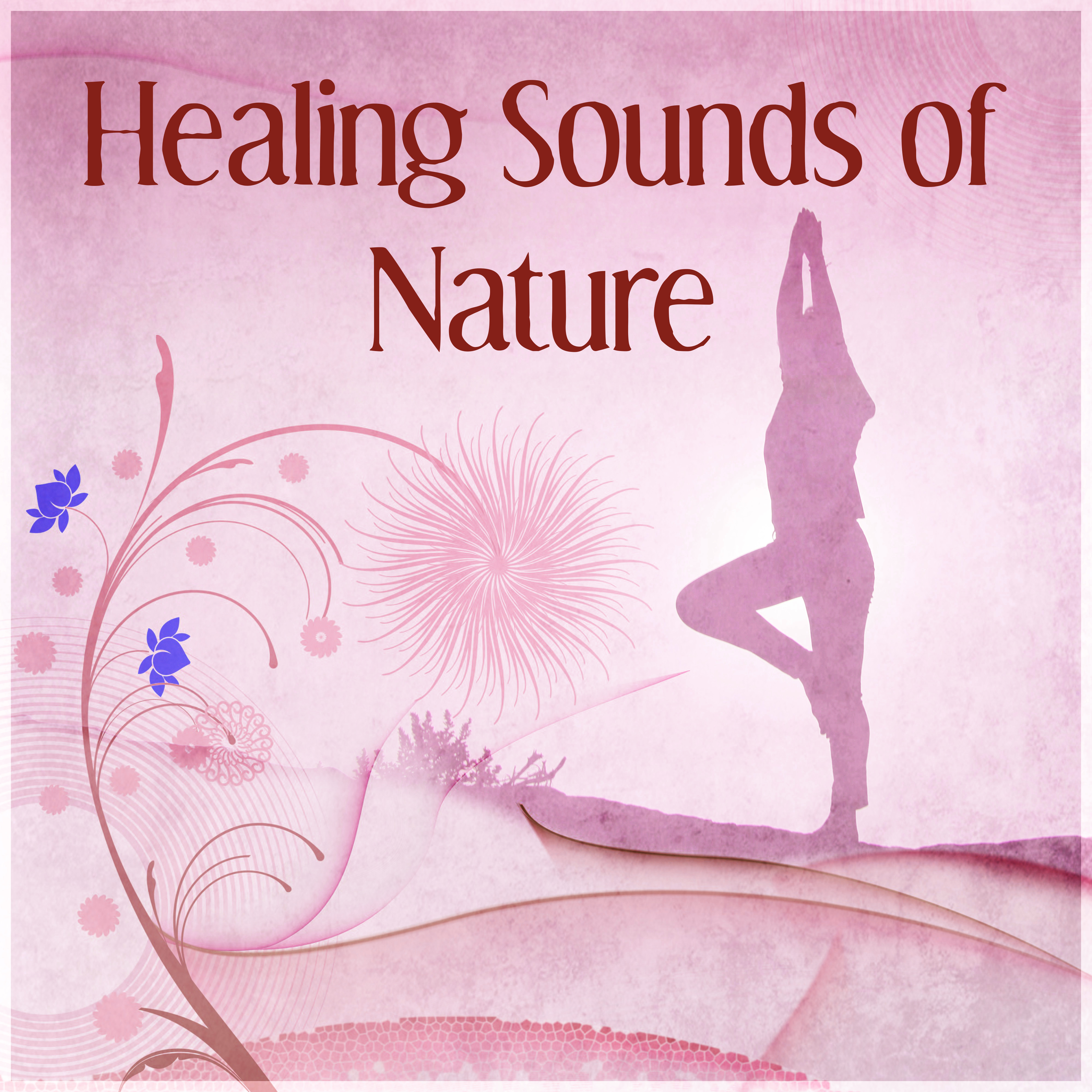 Healing Sounds of Nature  New Age Music for Deep Relaxation, Feel Inner Power with Healing Sounds, Background for Meditation, Deep Breathing