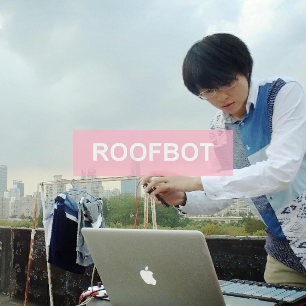 ROOFBOT