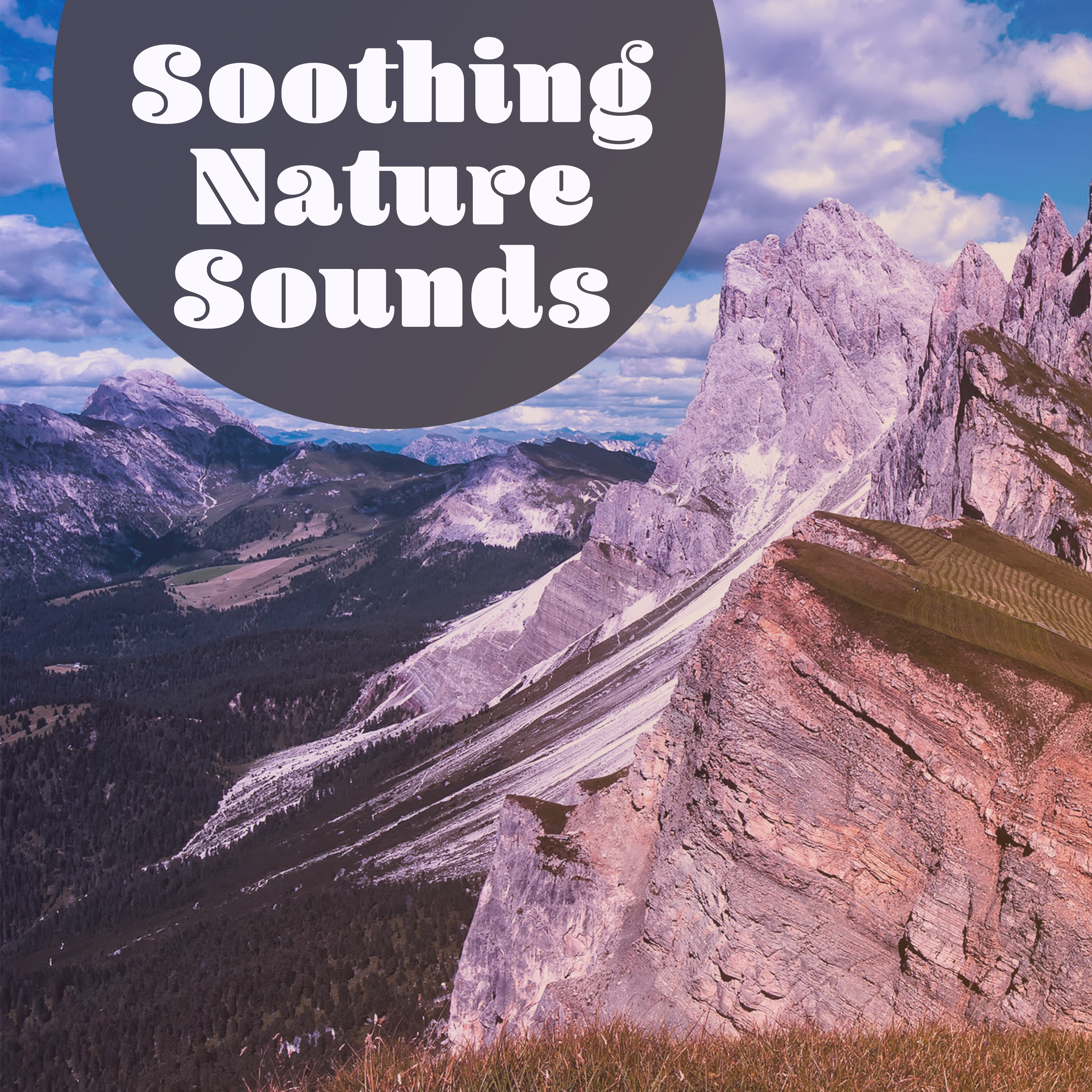 Soothing Nature Sounds  Forest Music, Melodies of Sea, Calm Mind, Pure Sleep, Zen, Relaxation, Gentle Guitar