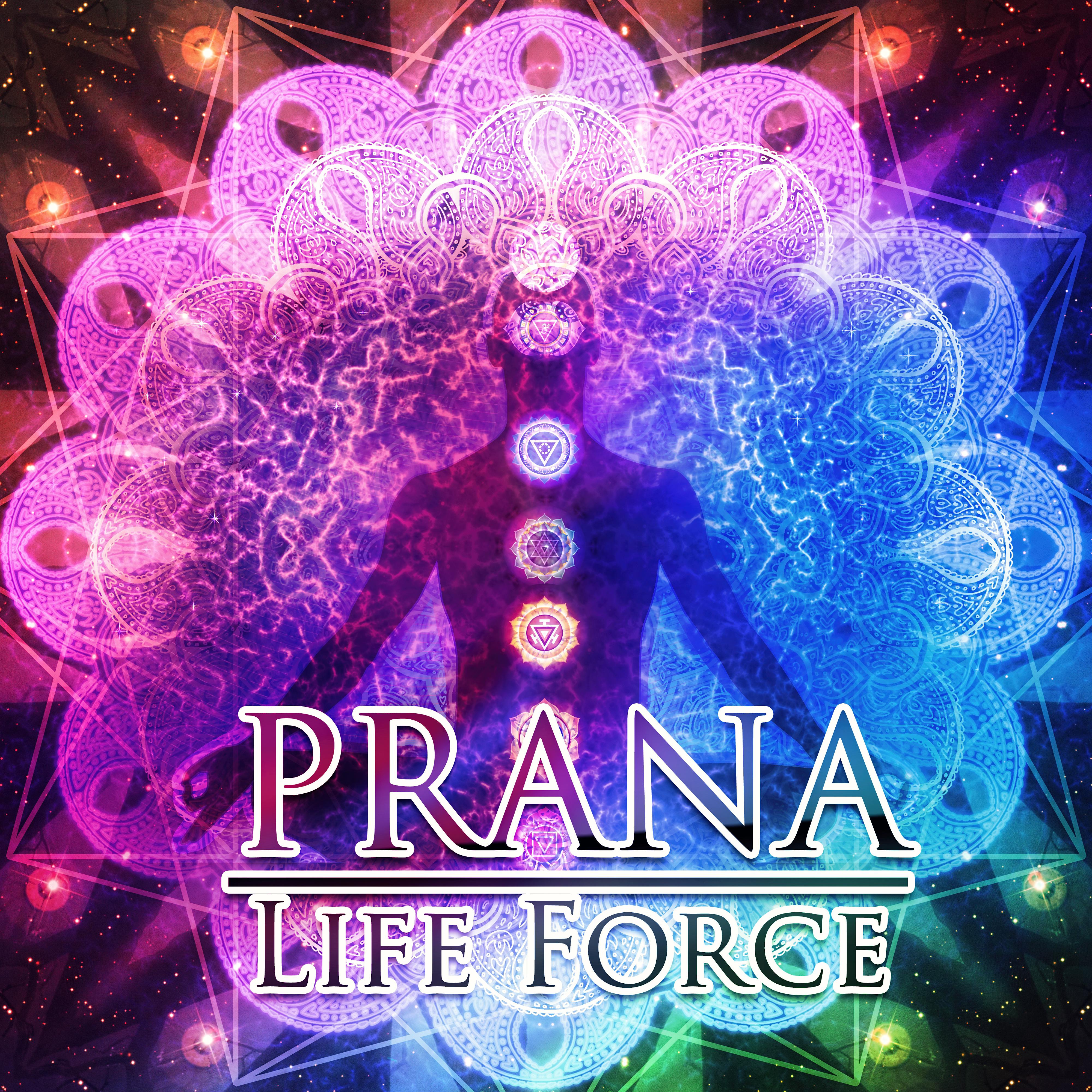 Pranic Healing