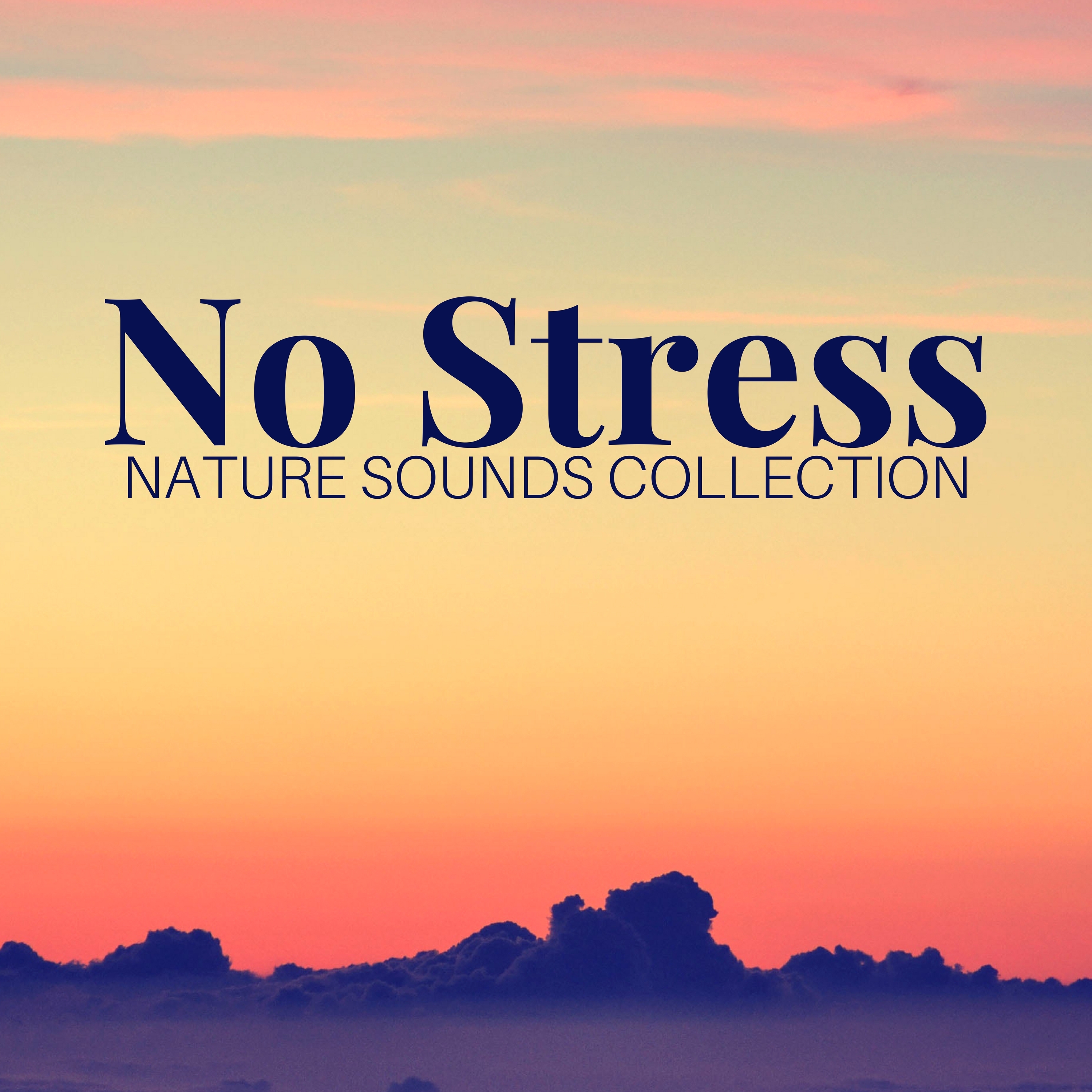 No Stress