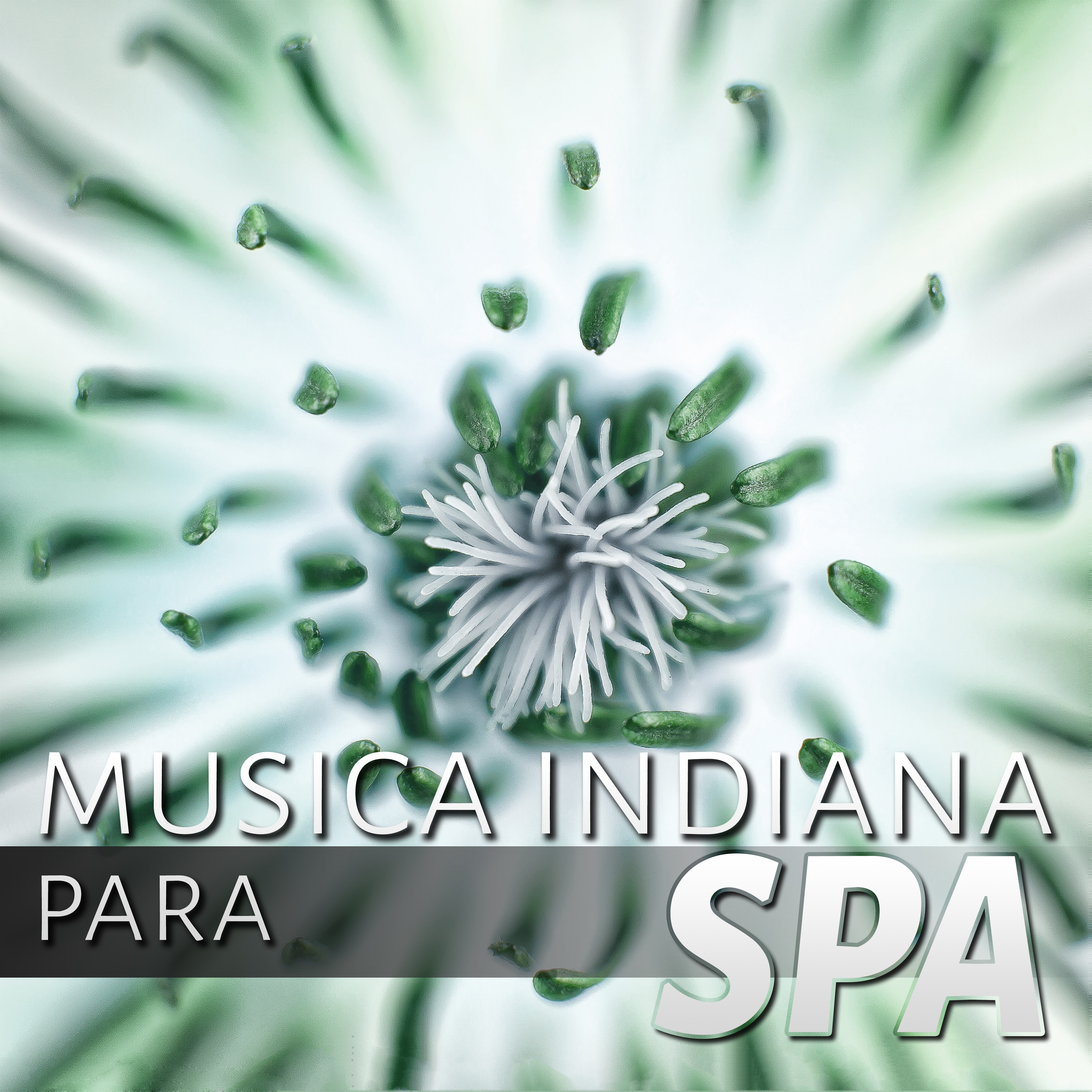 Musica Indiana para Spa  Mu sica para Relaxar, Mu sica para Dormir, Relaxamento, Medita o e Yoga, Mu sica New Age, Bem Estar, Serenidade, Mu sica para Depress o e Ansiedade