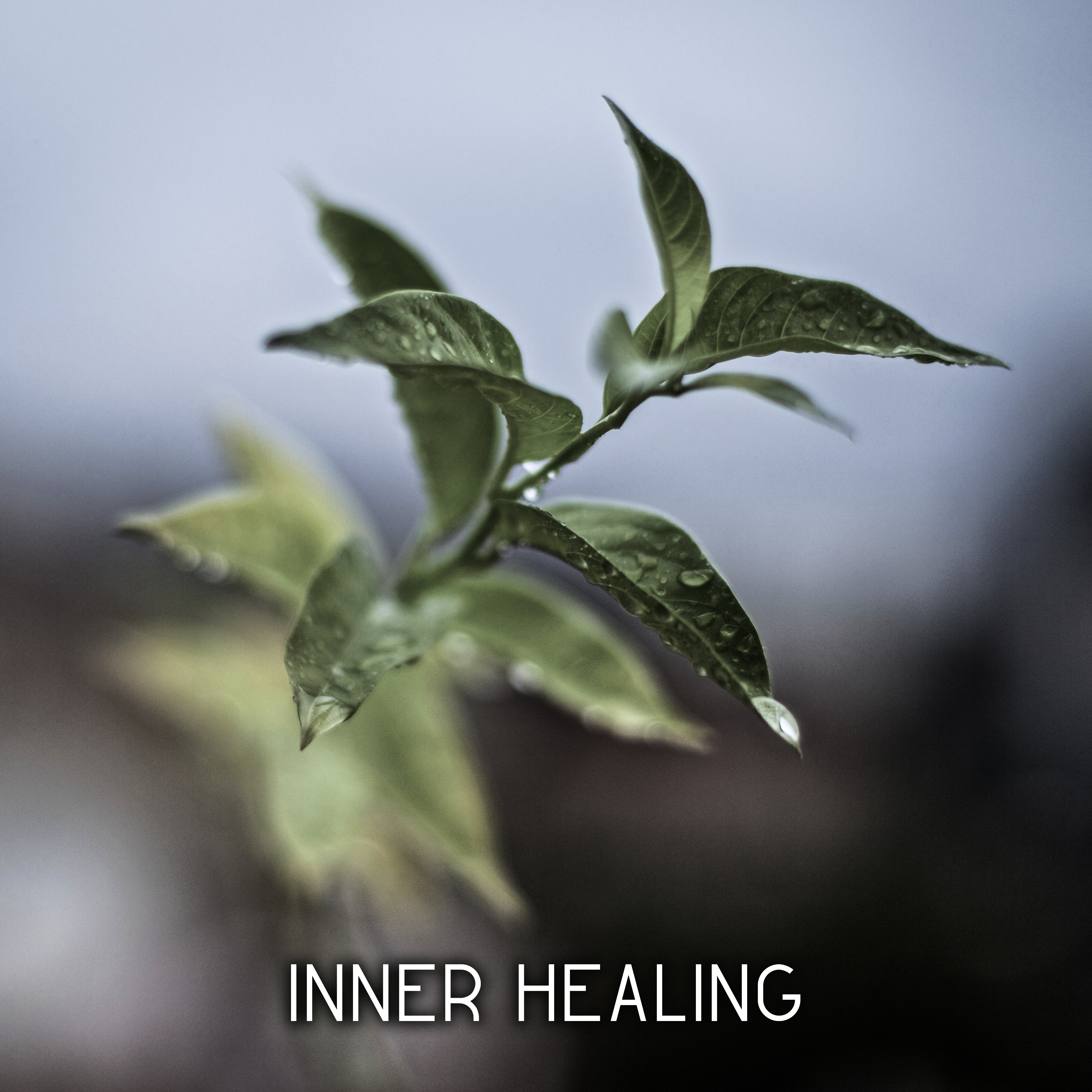 Inner Healing  Pure Chill, Yoga Music, Deep Meditation, Zen Music, Chill Out 2017, Buddha Lounge