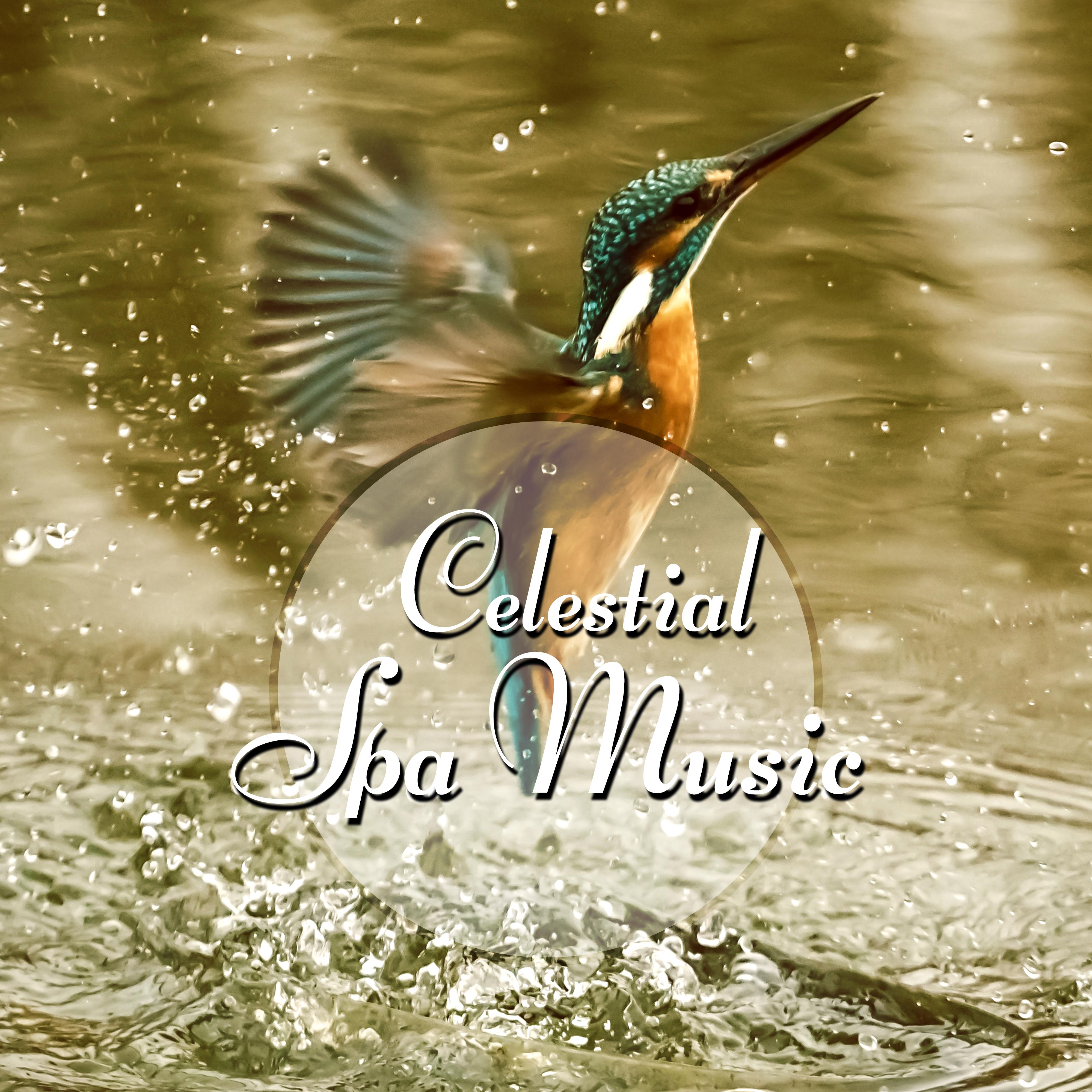 Celestial Spa Music - Relaxing Background Music for Spa the Wellness Center, Piano Music and Sounds of Nature Music for Relaxation, Instrumental Music for Massage Therapy, Reiki Healing, Luxury Spa