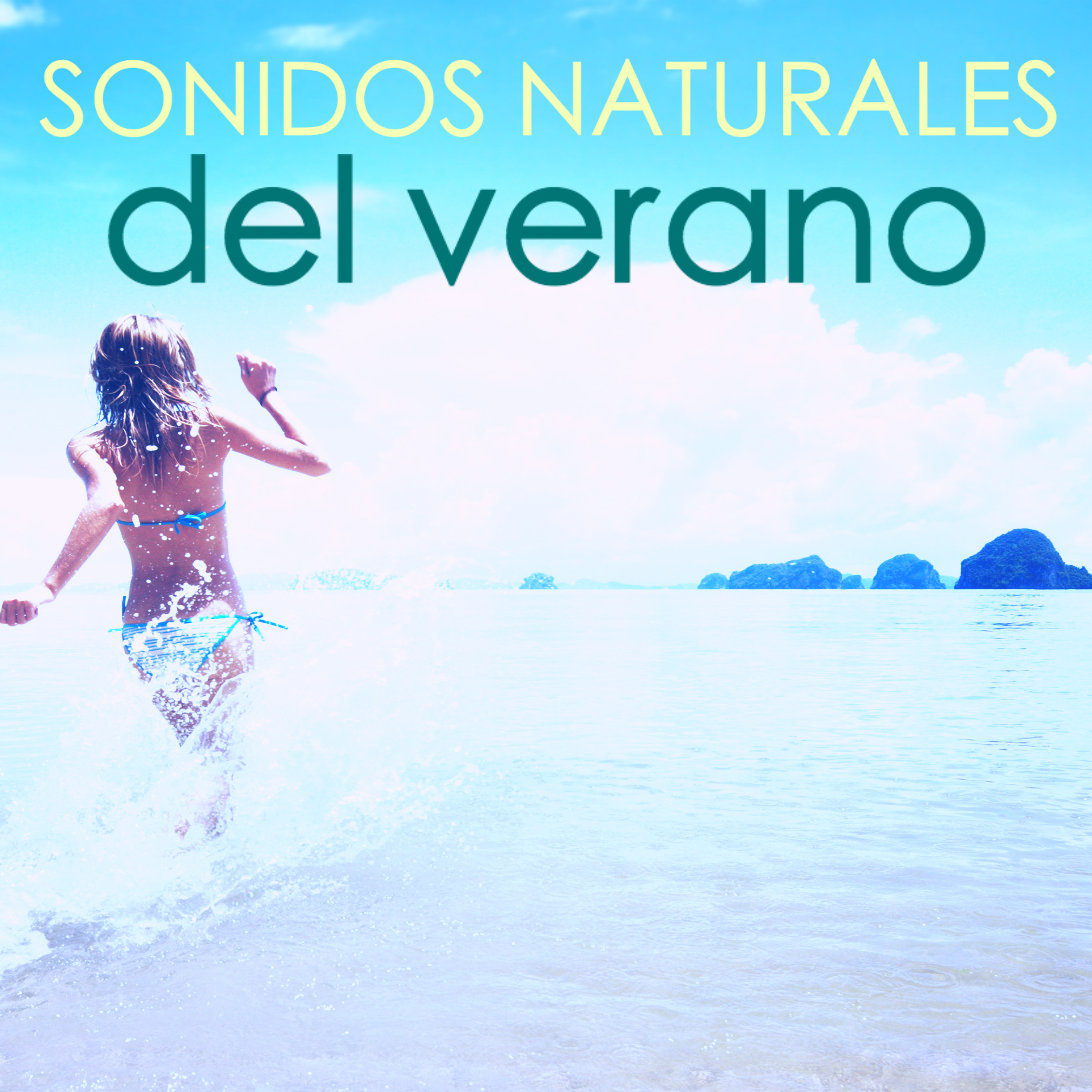 Sonidos Naturales del Verano  Ambiente  Agua del Mar, Olas y Pa jaros Cantores del Bosque
