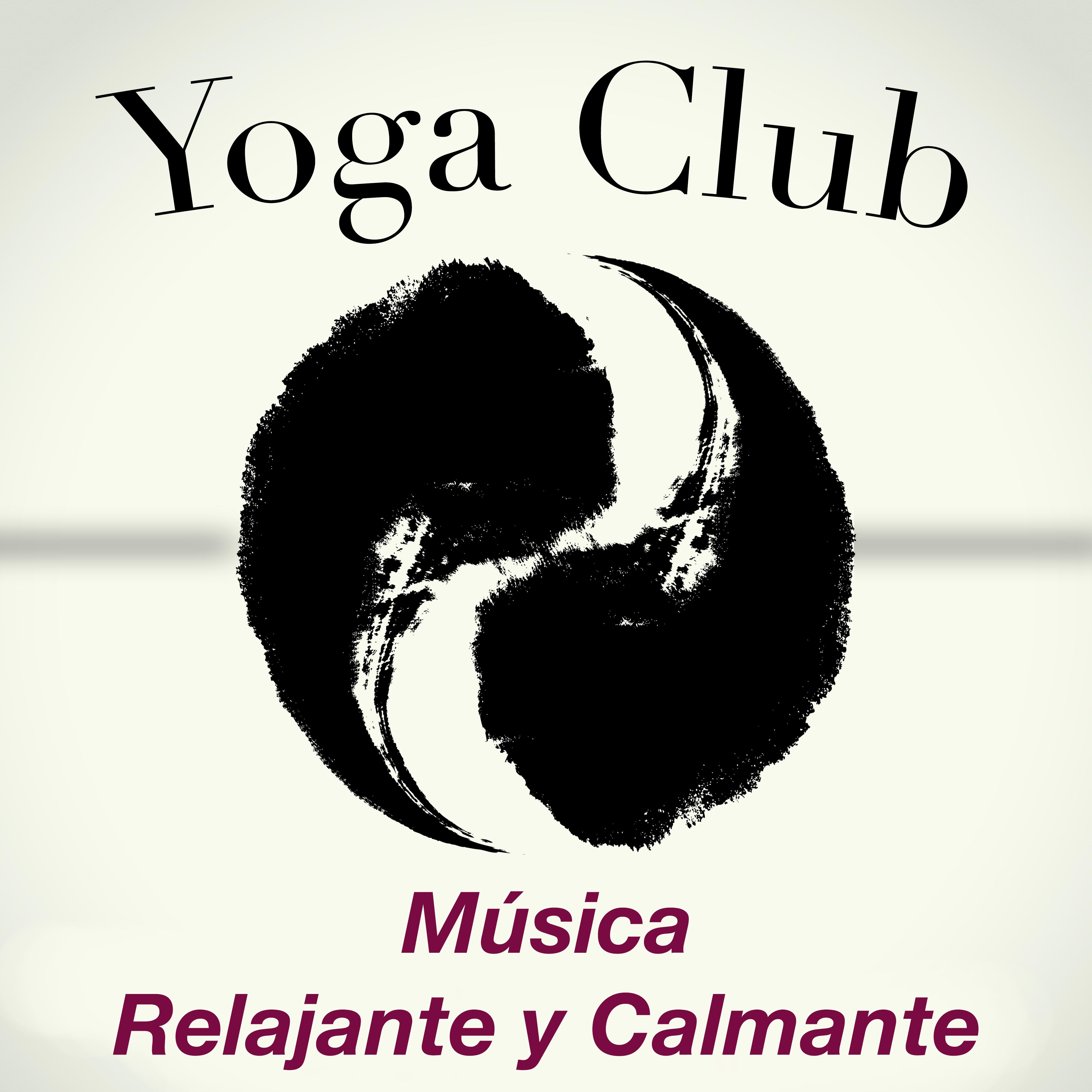 Yoga Club  Mu sica Relajante y Calmante para Clases de Yoga