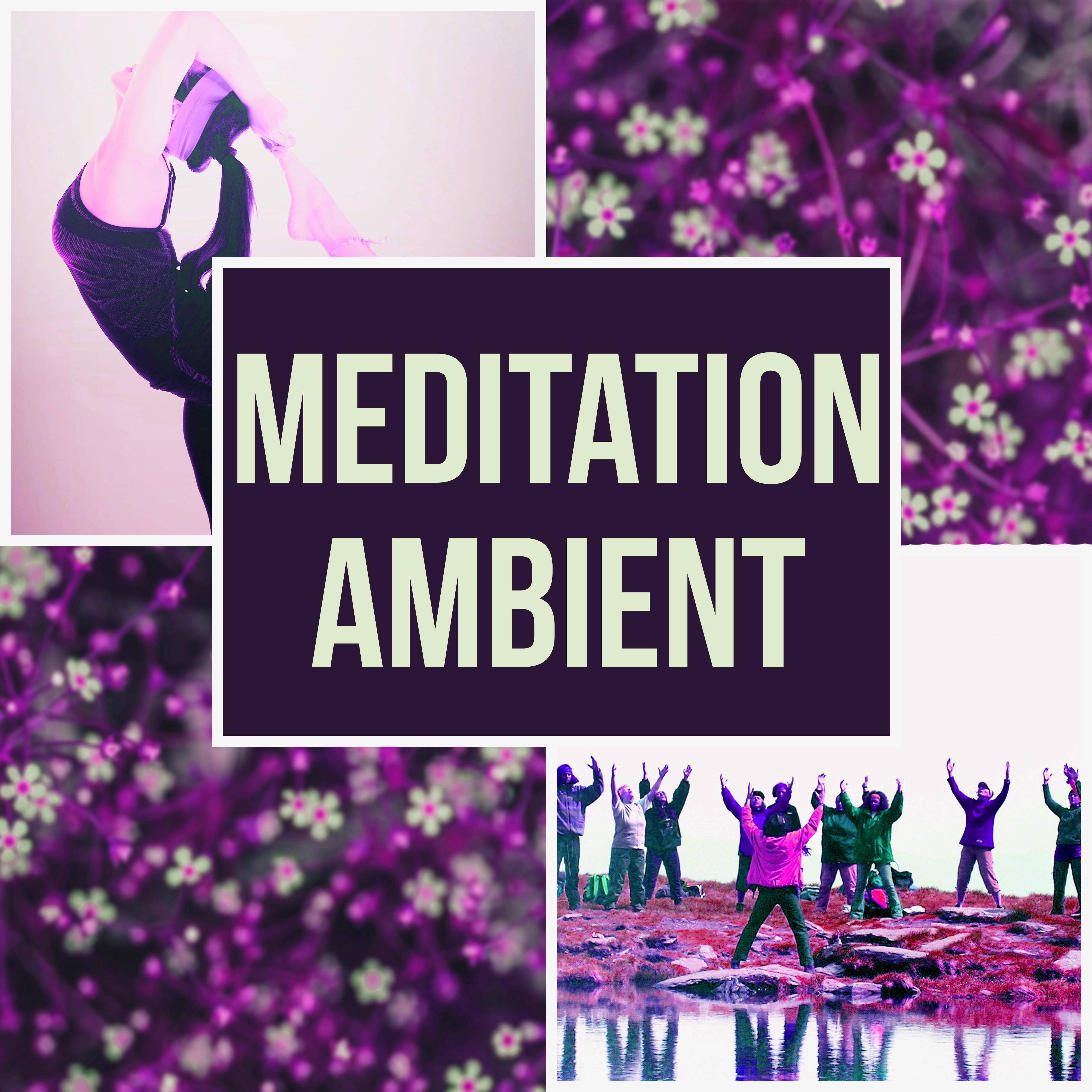 Meditation Ambient  Calm Music, Nature Sounds, Yoga, Background Music, Easy Listening, Mindfulness