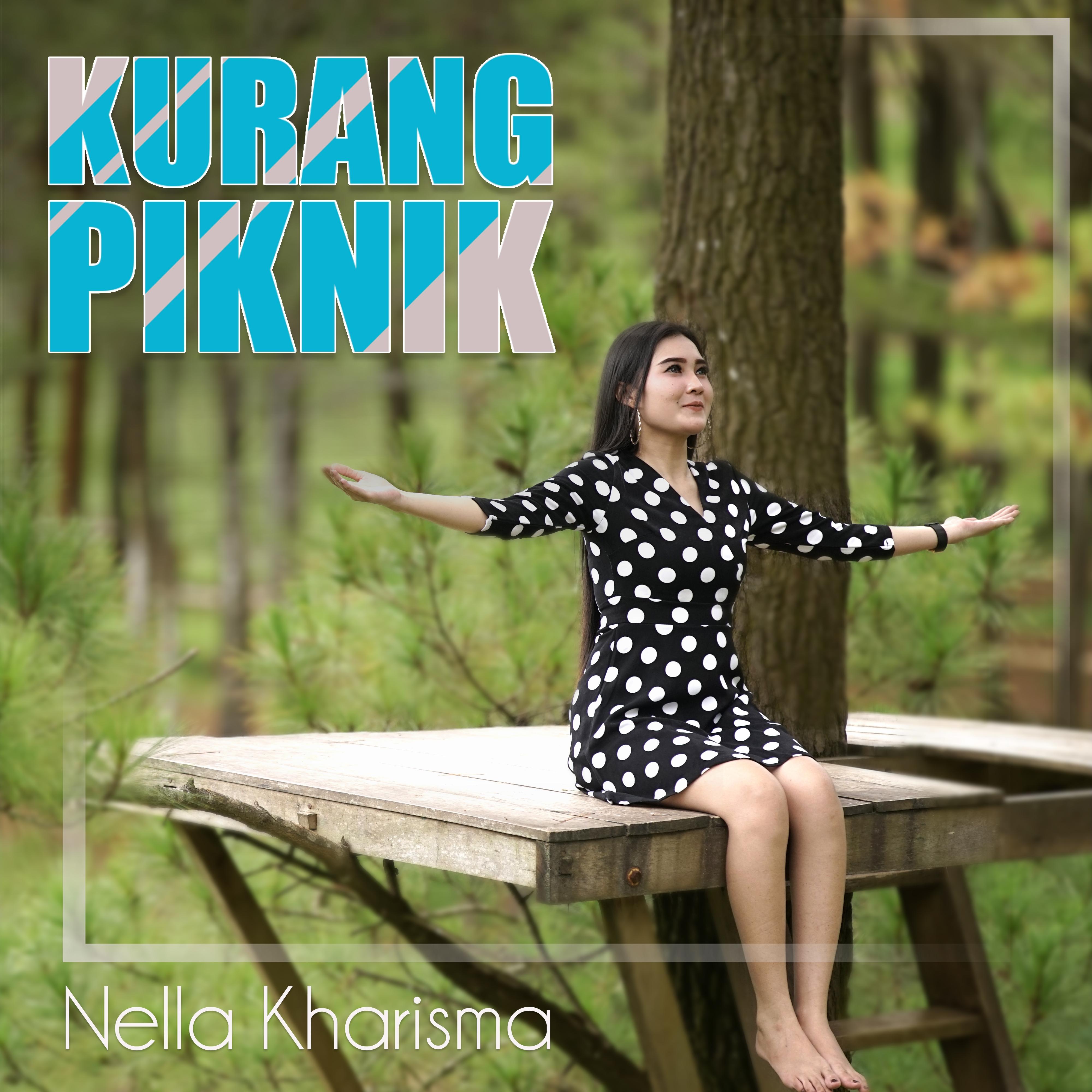 Kurang Piknik