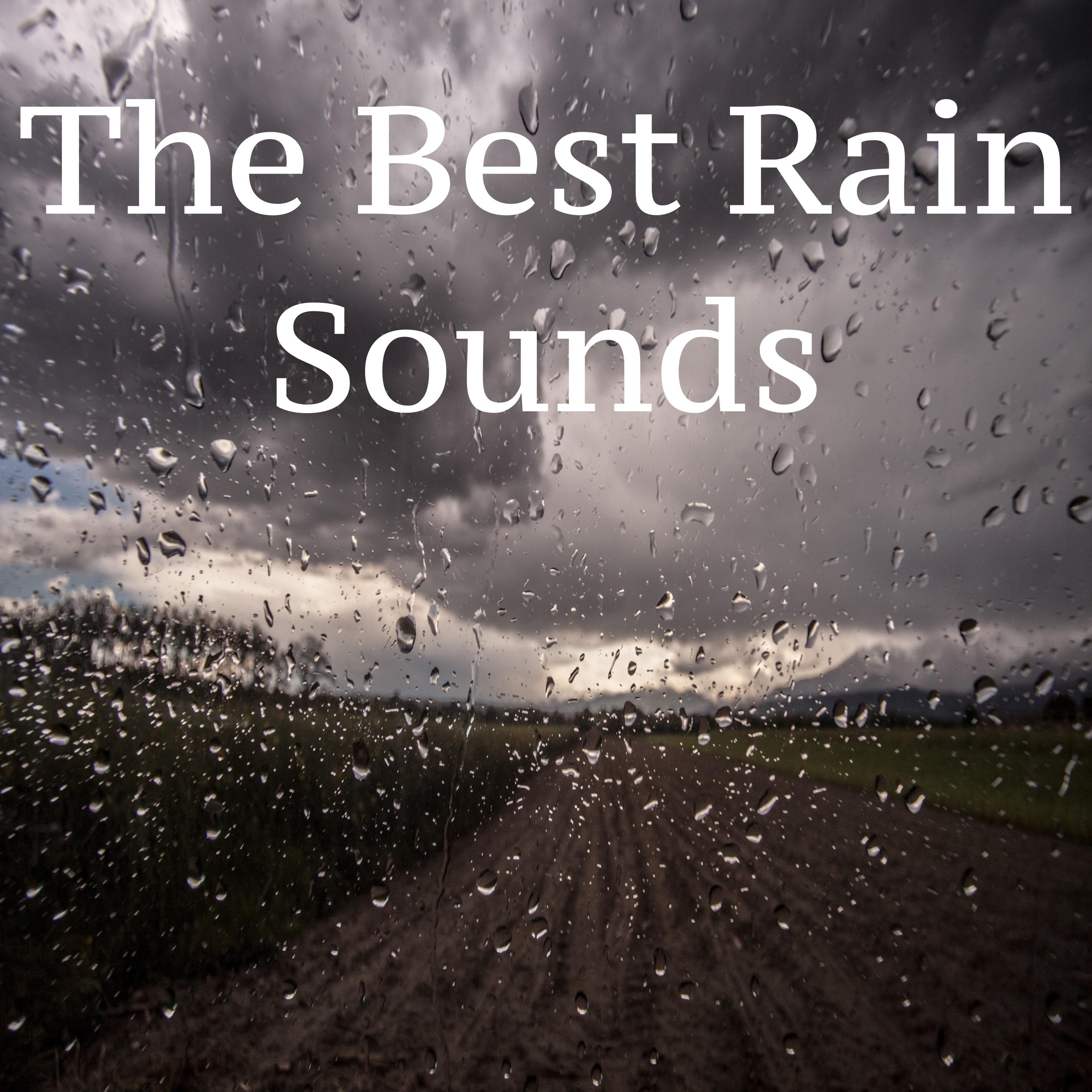 Rain Sounds to Sleep By, Rain Sounds for Study, 1 Hour Rain Sounds, Rain Sounds to go to Sleep Compilation