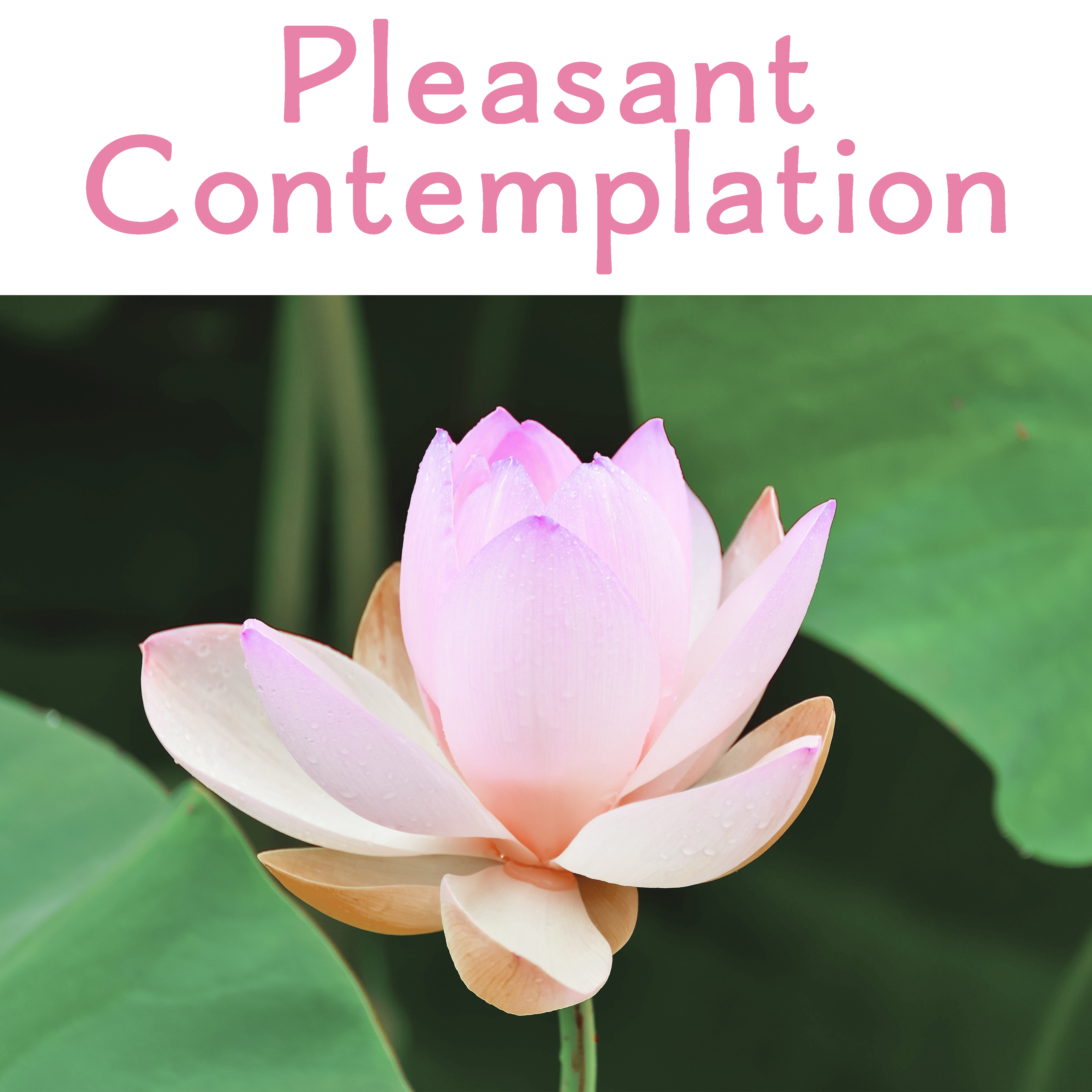 Pleasant Contemplation  Soft Music for Meditation, Yoga, Pure Chill, Chakra, Soft Mindfulness, Reiki Music