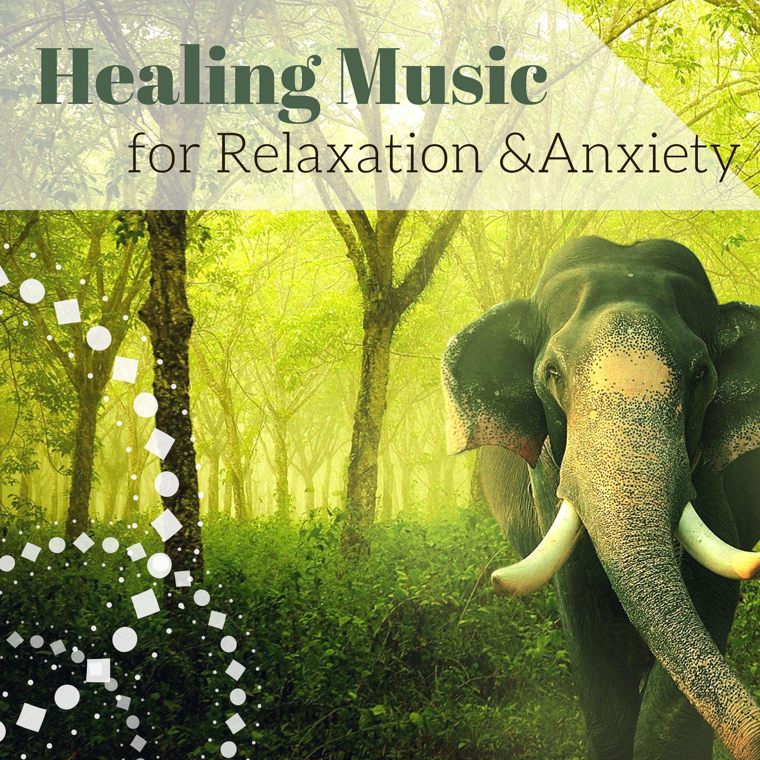Healing Music for Relaxation & Anxiety: Guided Meditation Music, Sleep & Yoga Relaxation, Inner Peace