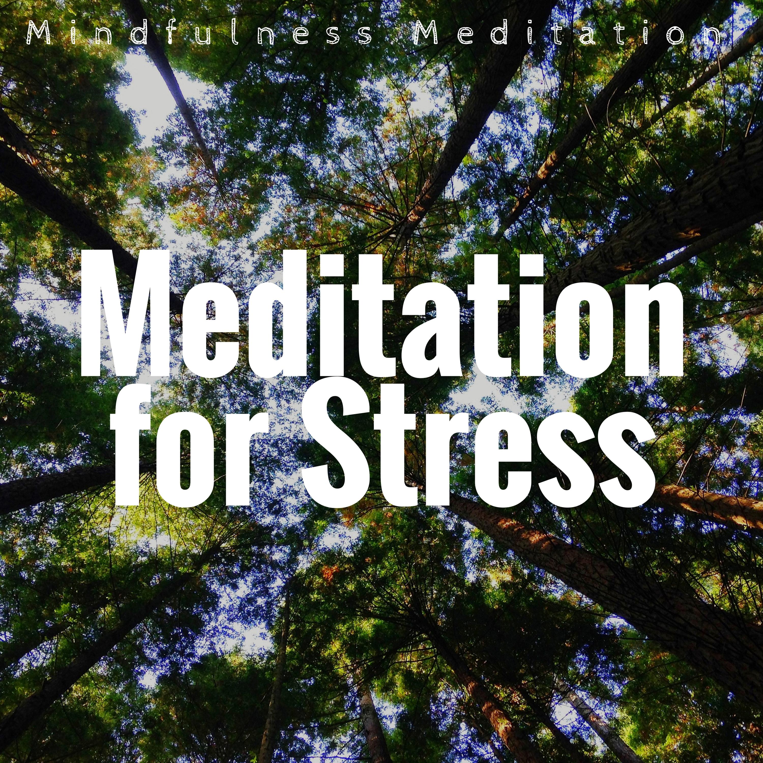 Stress Reduction