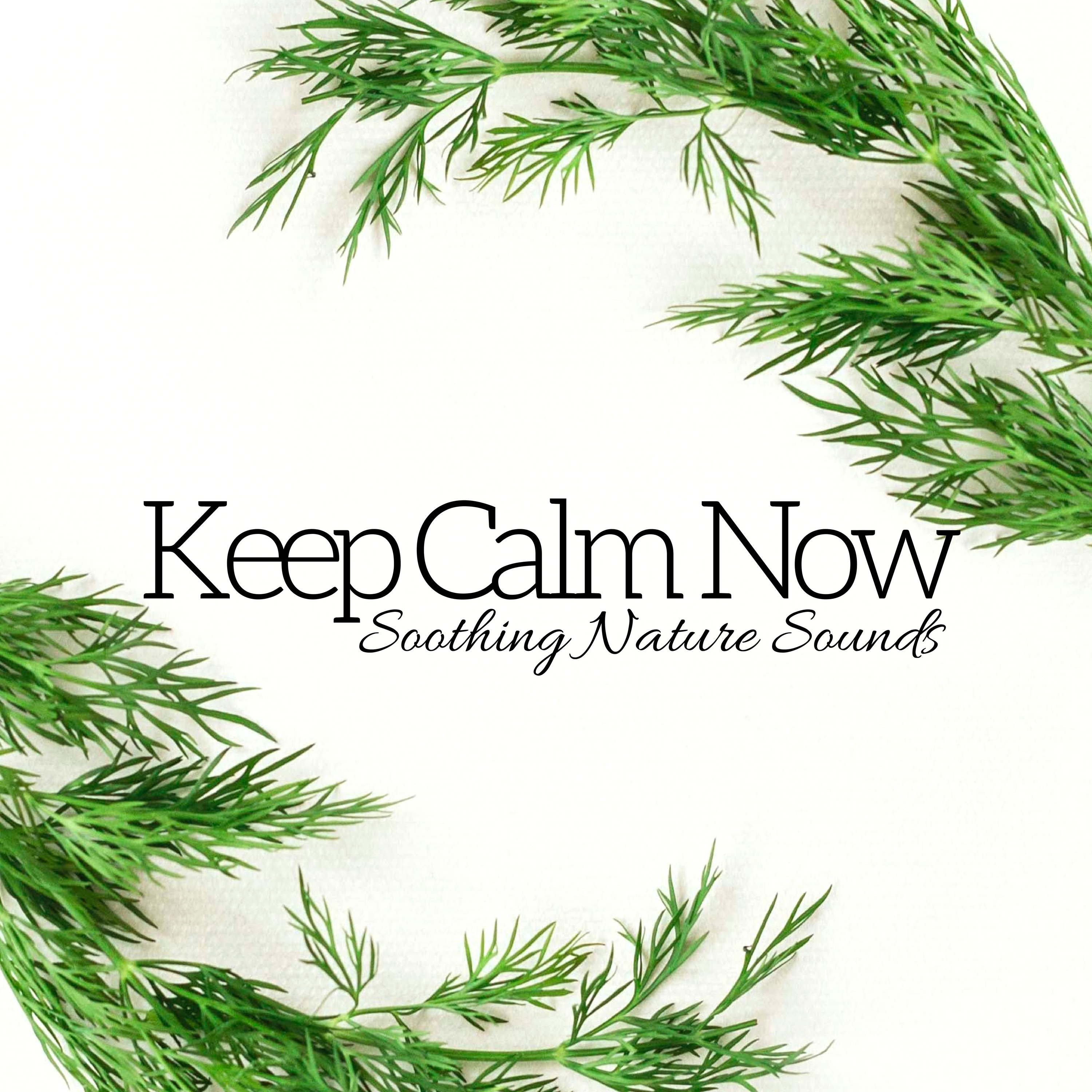 Keep Calm Now - Soothing Nature Sounds, Pure Yoga Music, Meditation & Relaxation Music, Inner Peace, Wellness Spa,