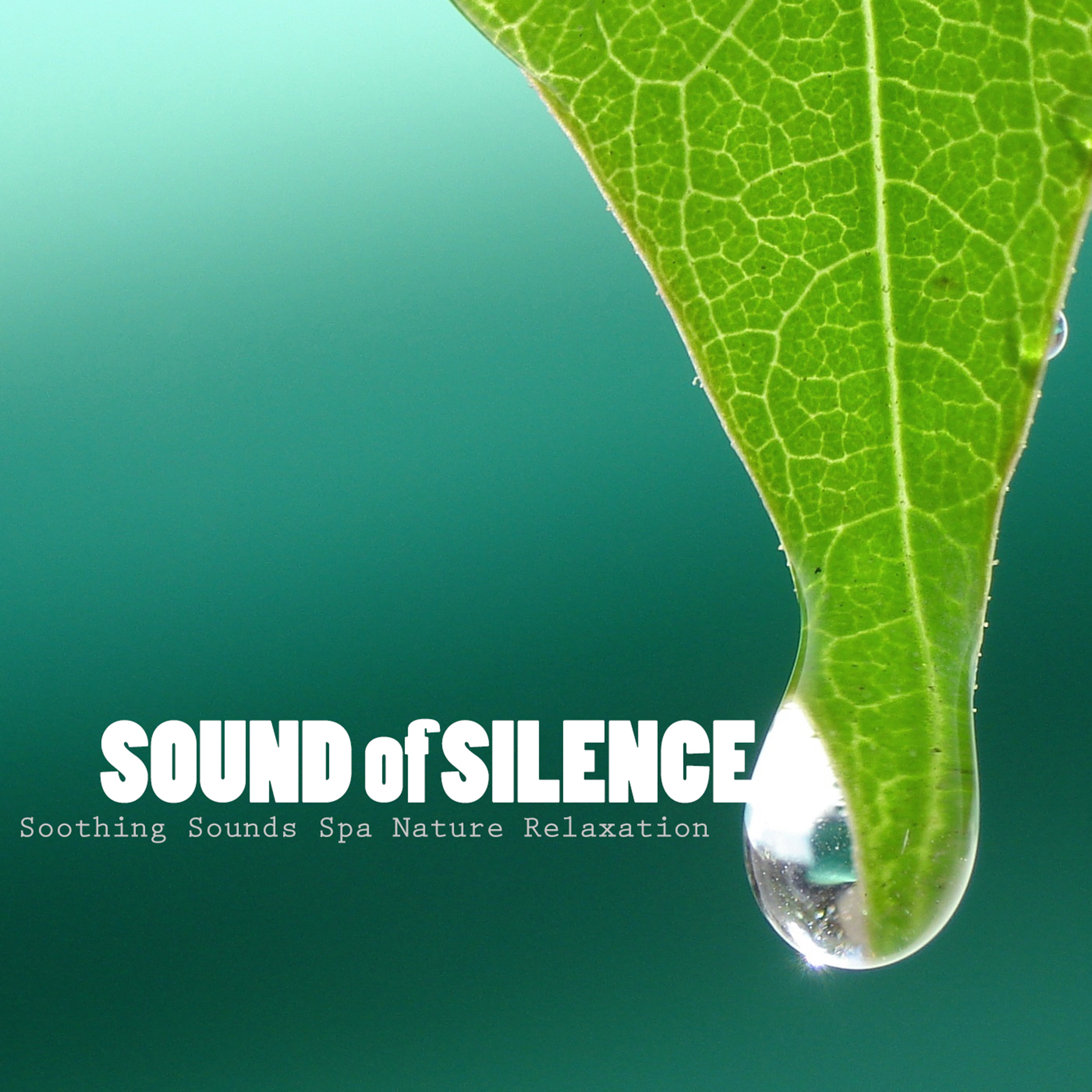 Sound of Silence - Serenity Music, Soothing Sounds Spa Nature Relaxation