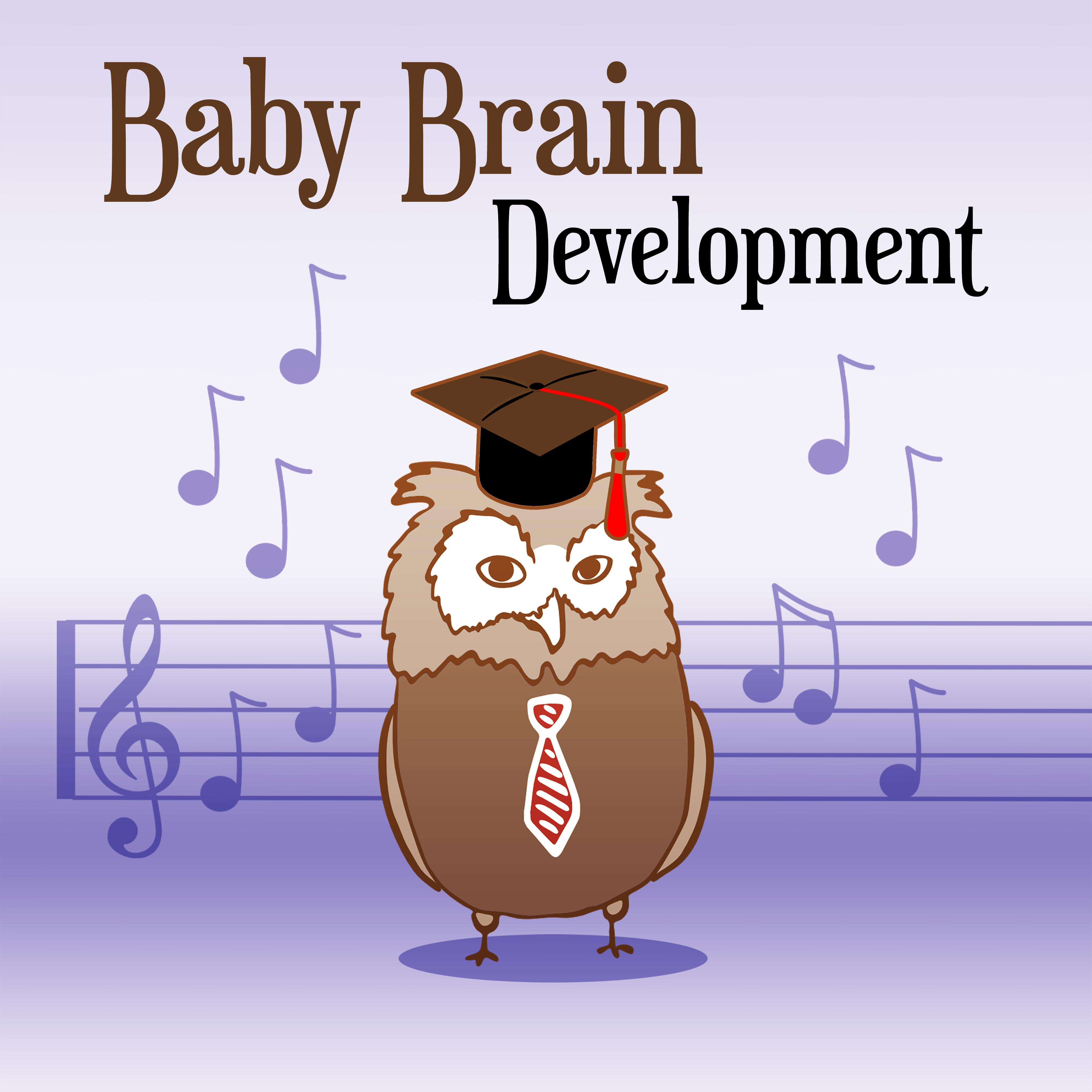 Baby Brain Development  Music for Kids, Educational Songs, Fun  Learning, Bach, Mozart, Beethoven