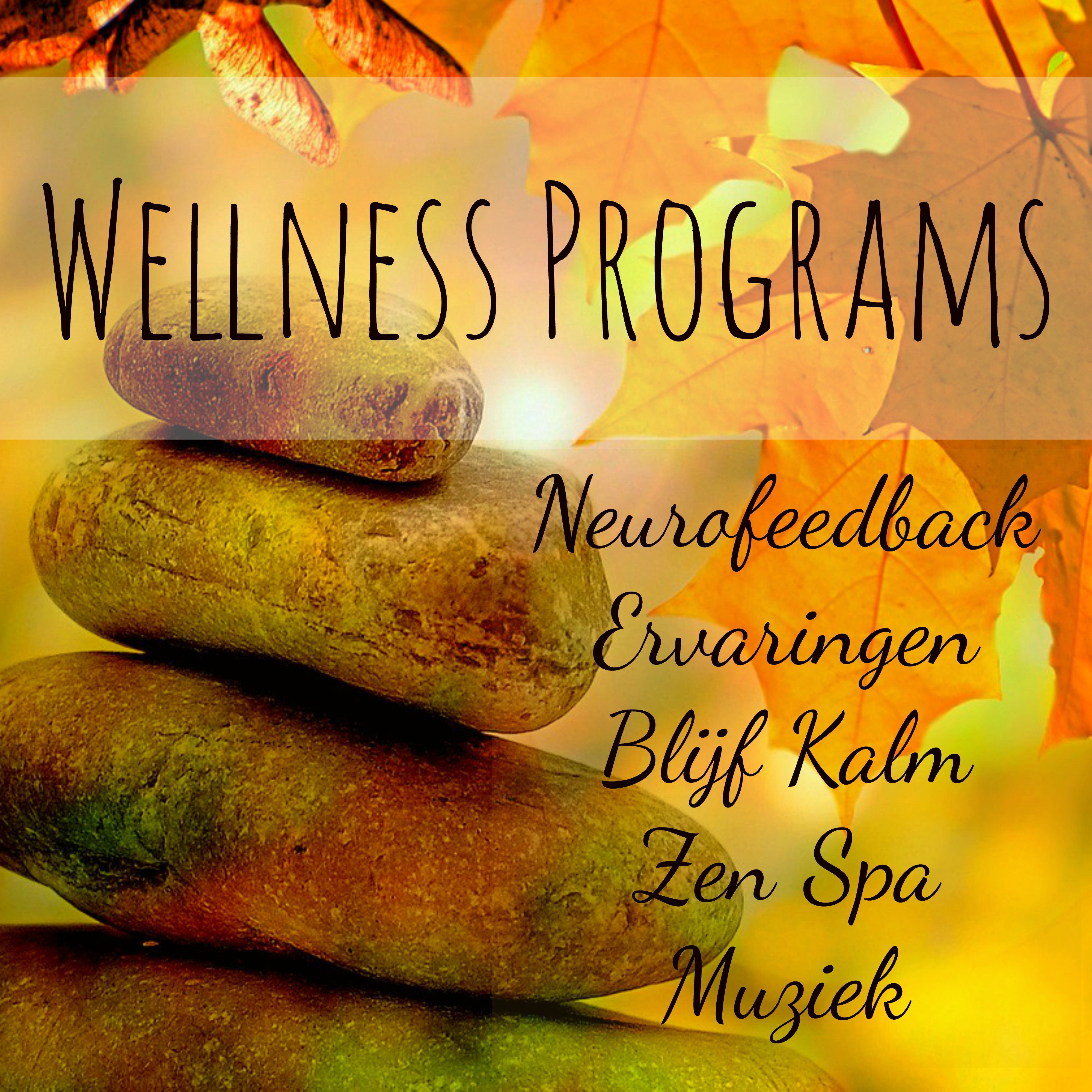 Wellness Programs - Neurofeedback Ervaringen Blijf Kalm Zen Spa Muziek voor Mentale Training Oefeningen Reiki Therapie met Natuur Instrumentale Genezing Geluiden
