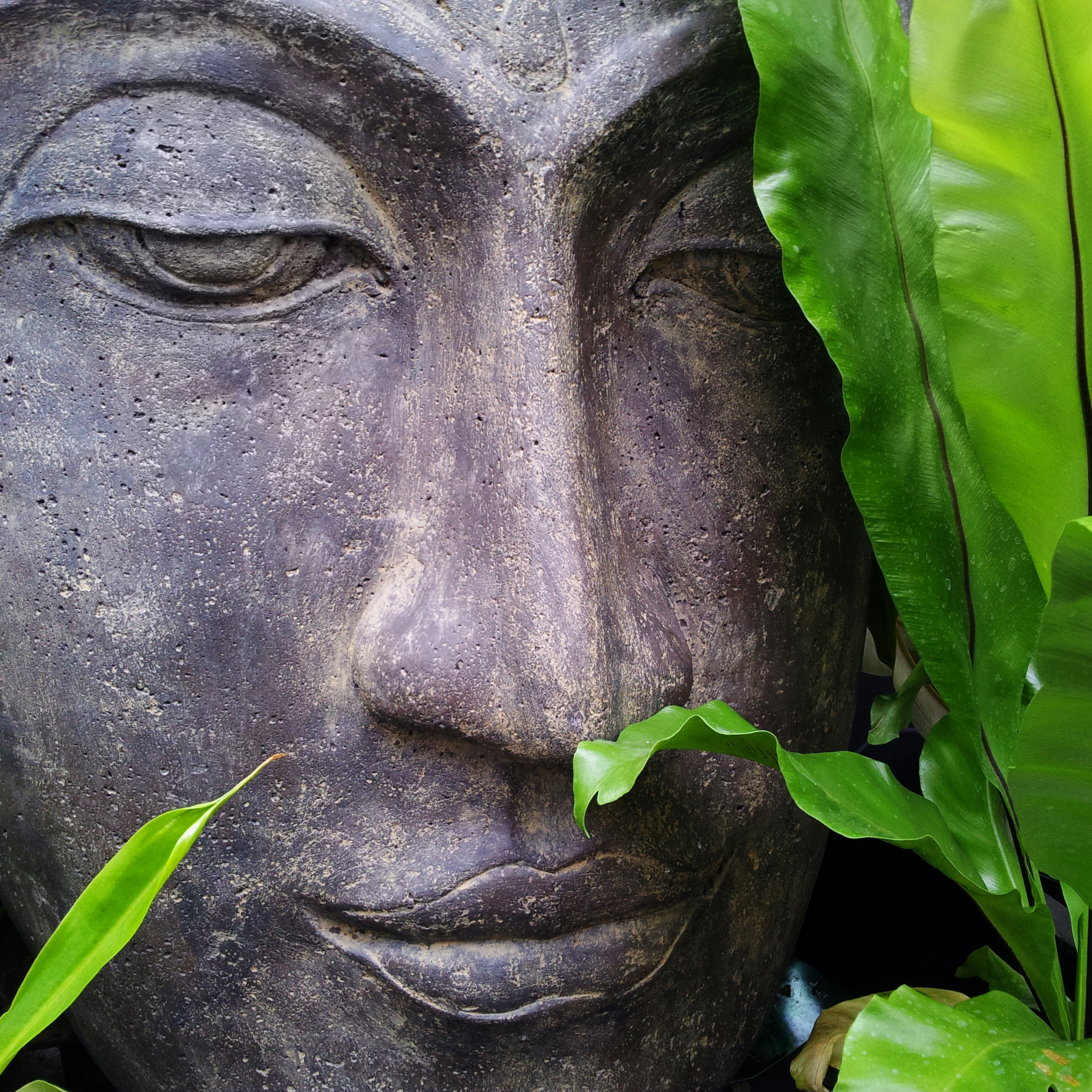 Essential Zen Spa - Relaxing Rain, Water & Ocean Sounds to Help You Sleep, Unwind, De-Stress and Live a Healthier Life