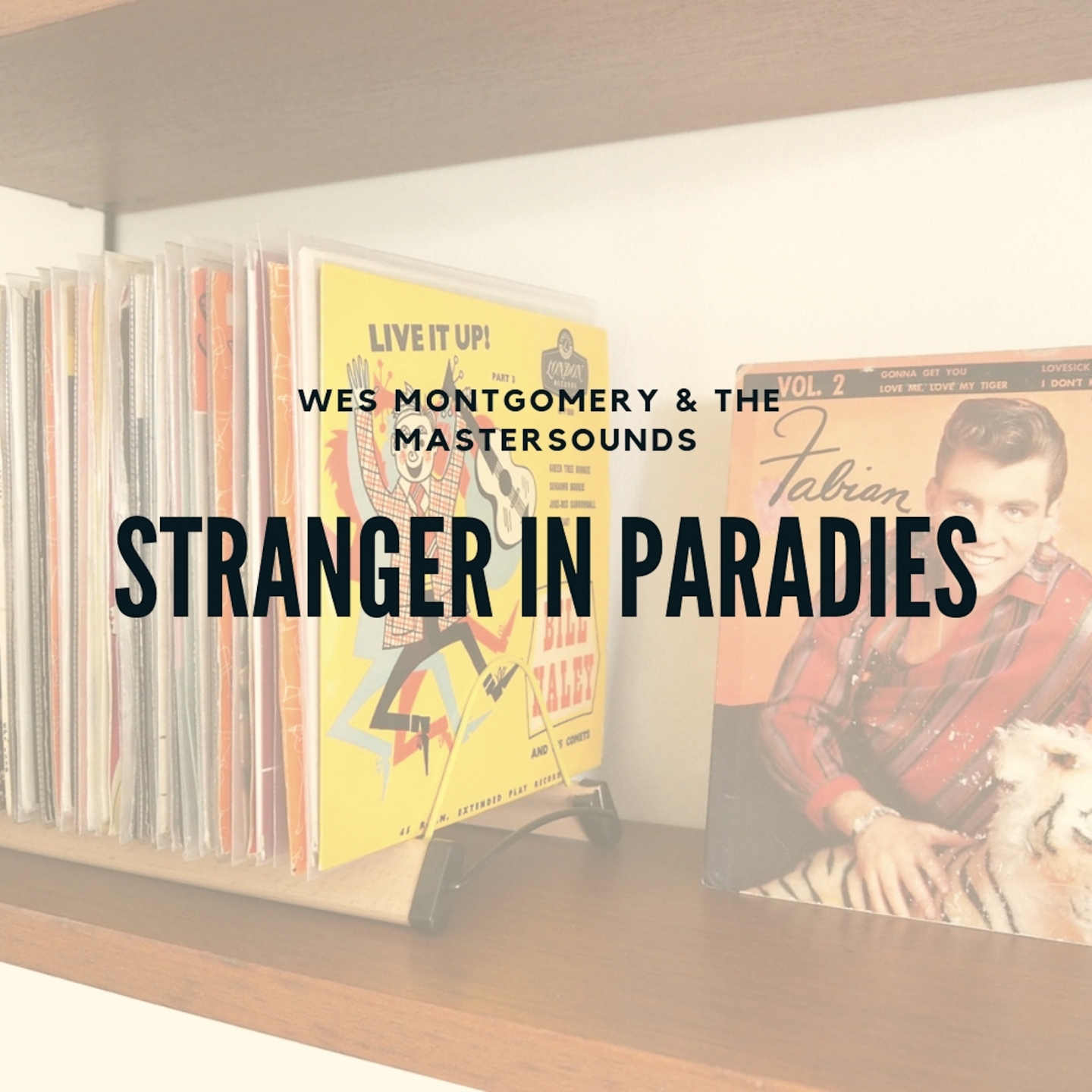 Stranger in Paradies