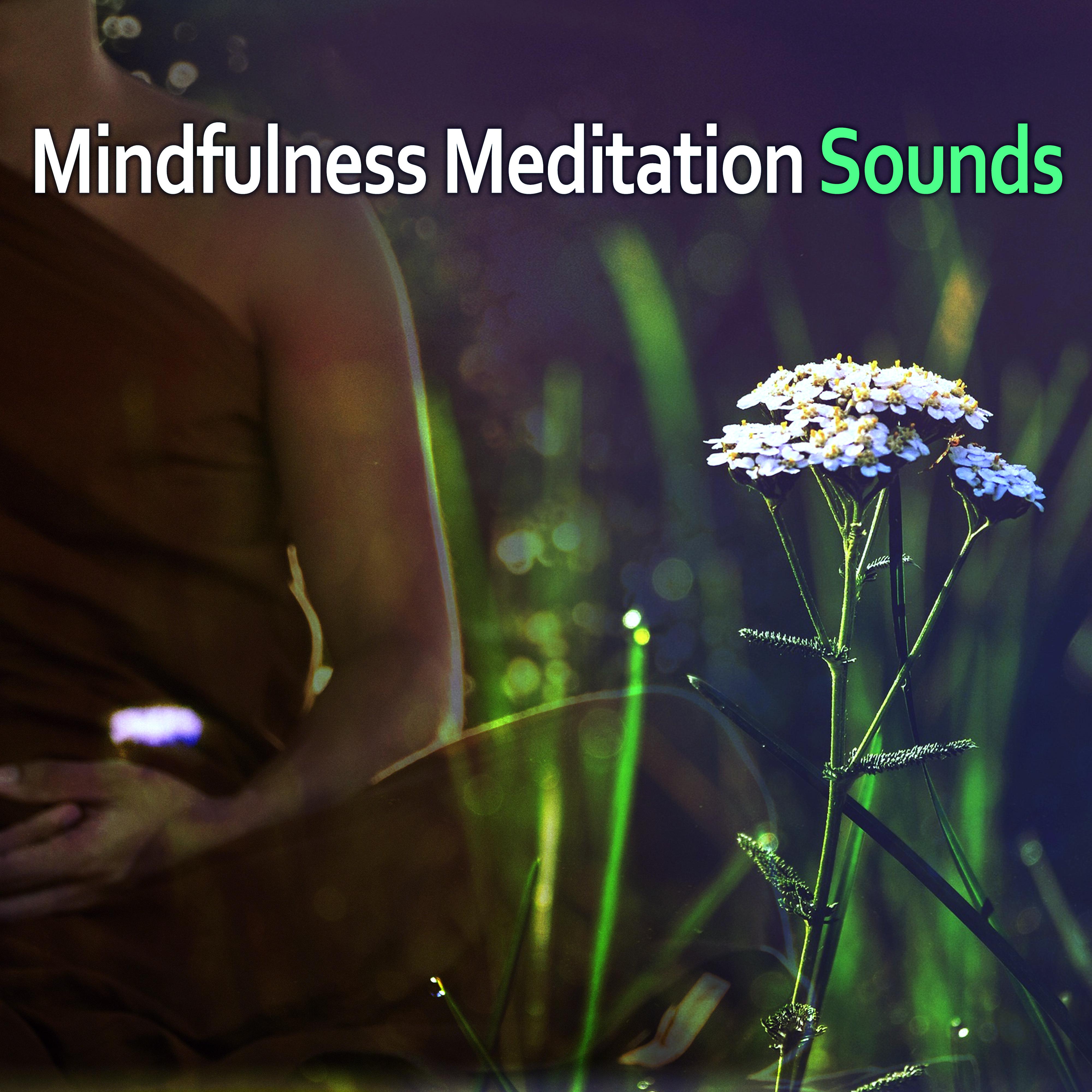 Mindfulness Meditation Sounds  New Age Relax, Mind Calmness, Soft Music to Rest, Meditation  Relaxation