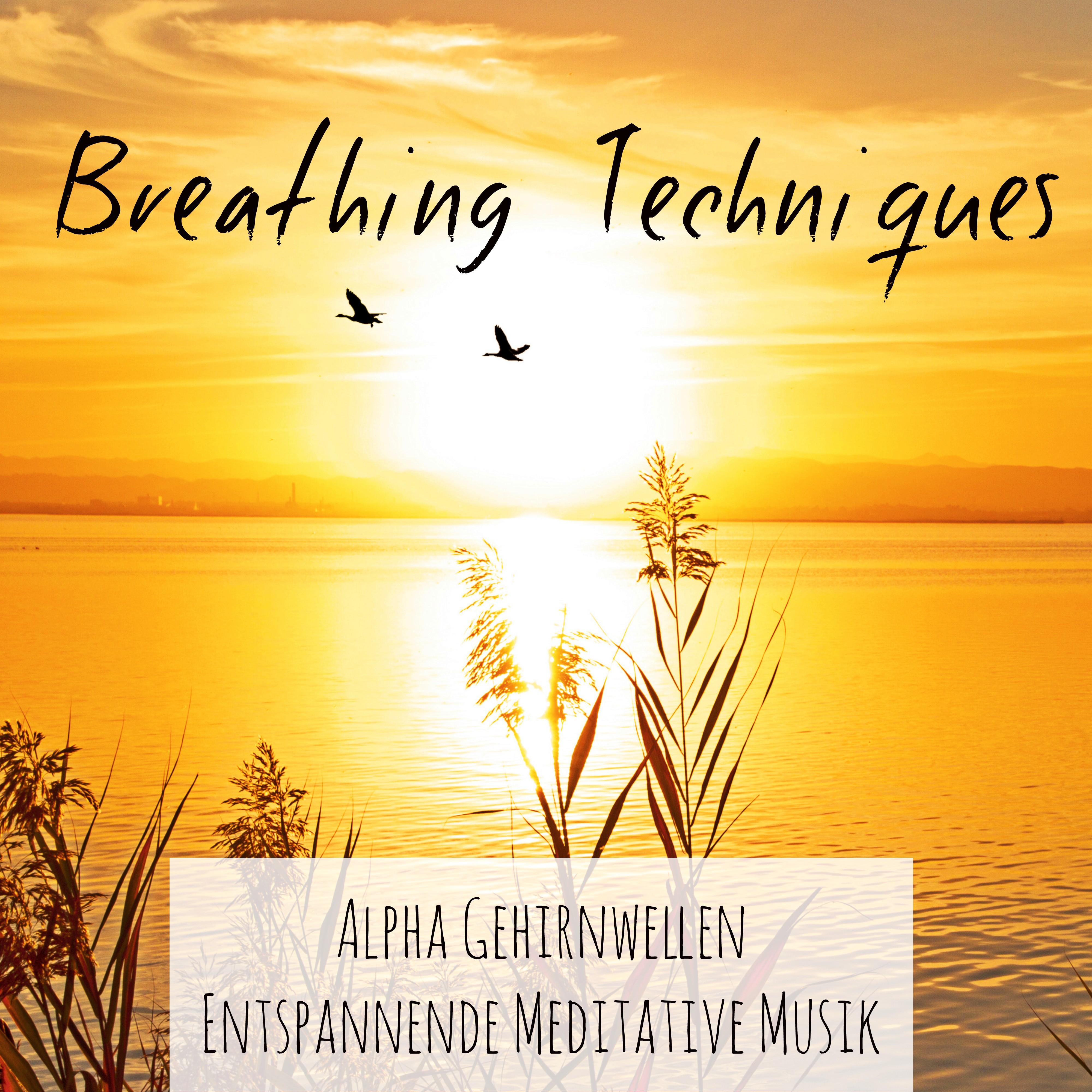 Breathing Techniques  Andlig V gledning Lugn Meditativ Musik f r Mindfulnesstr ning S mnbesv r med New Age Helande Instrumental Ljud