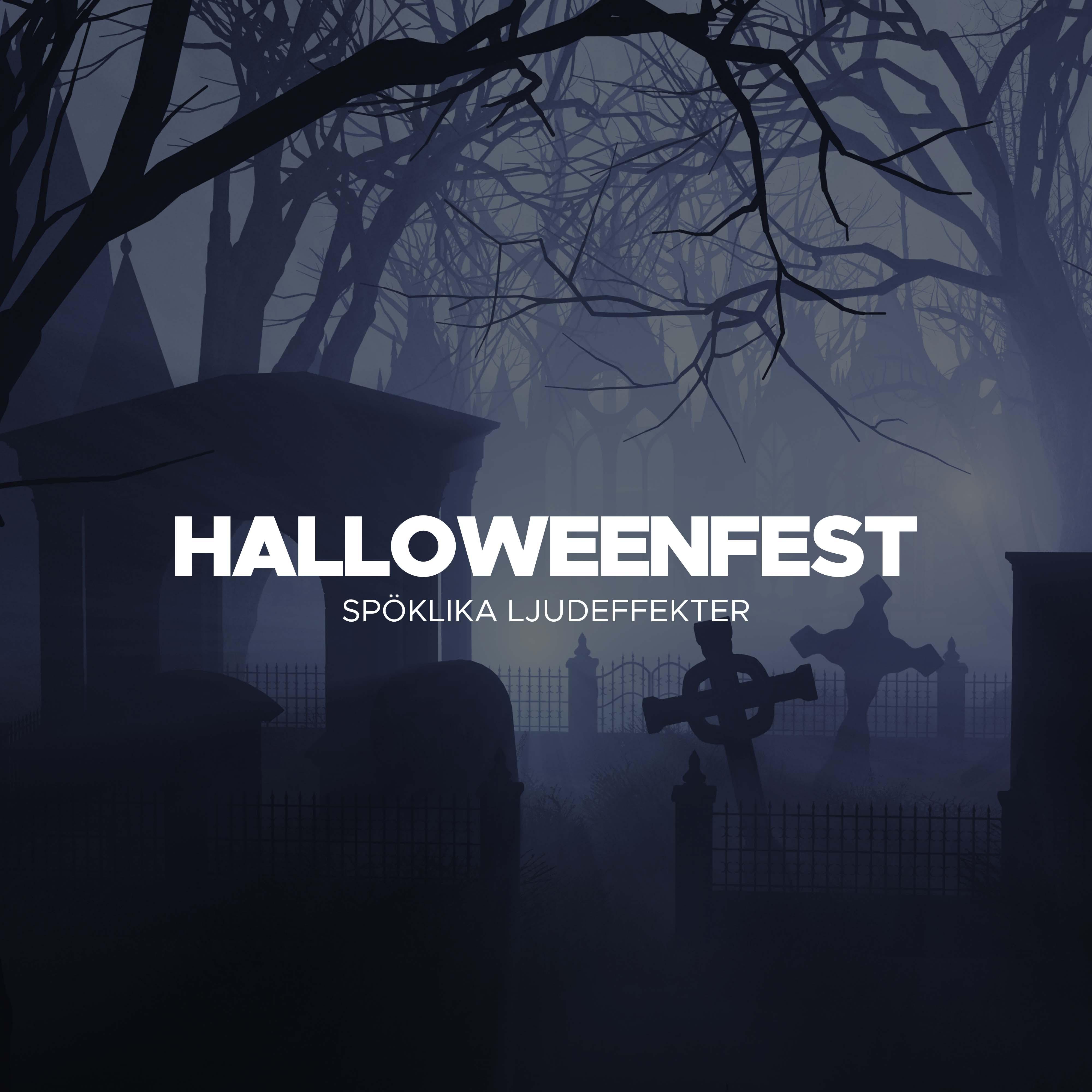 Halloweenfest  Sp klika Ljudeffekter , Skr mmande Ljud, ylar, Skrik, Skr mmande och kylning Bakgrundsmusik