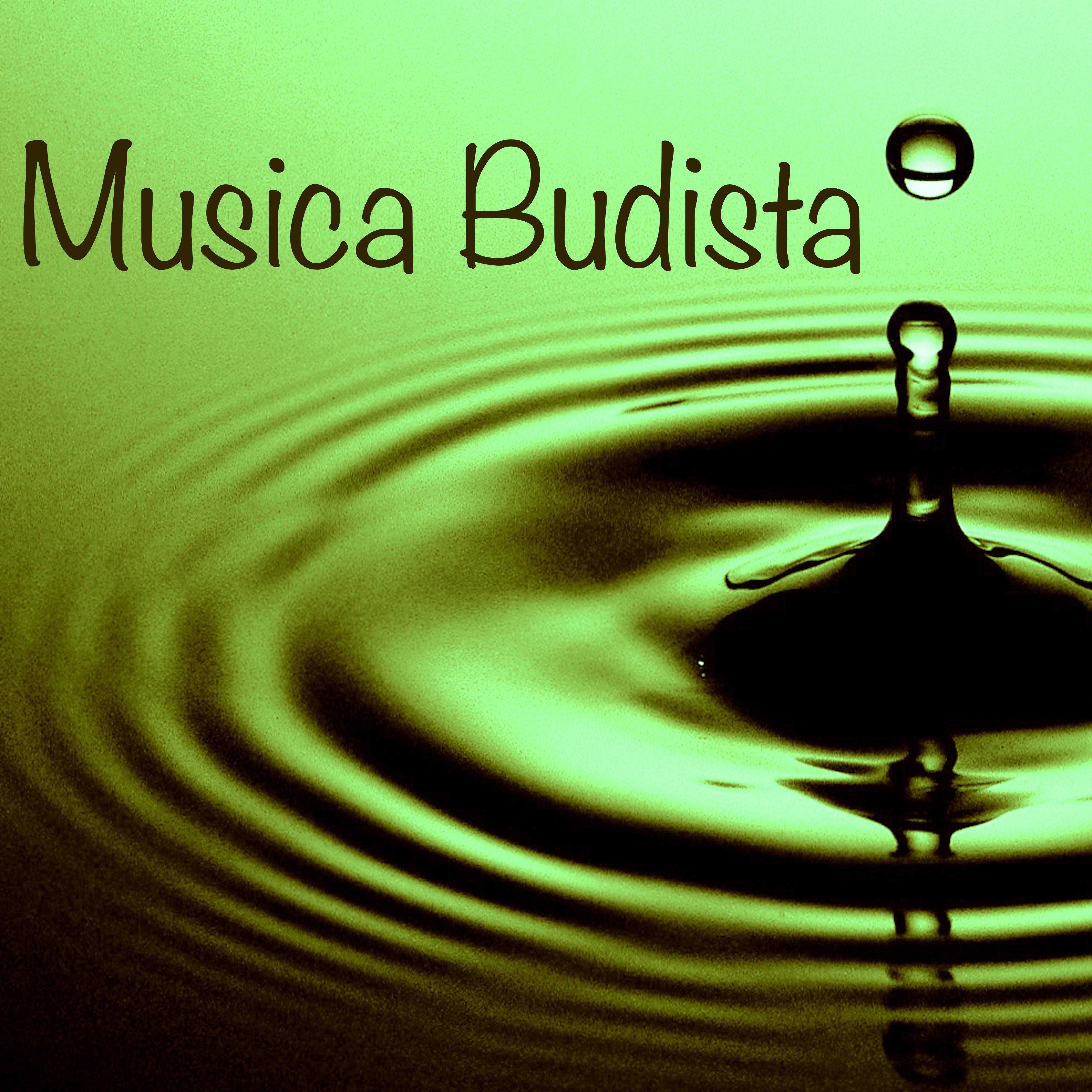 Musica Budista  Canciones para Aprender a Meditar, Meditacion Trrascendental, Metodos de Relajacion Mental, Budismo Zen, Yoga Vipassana