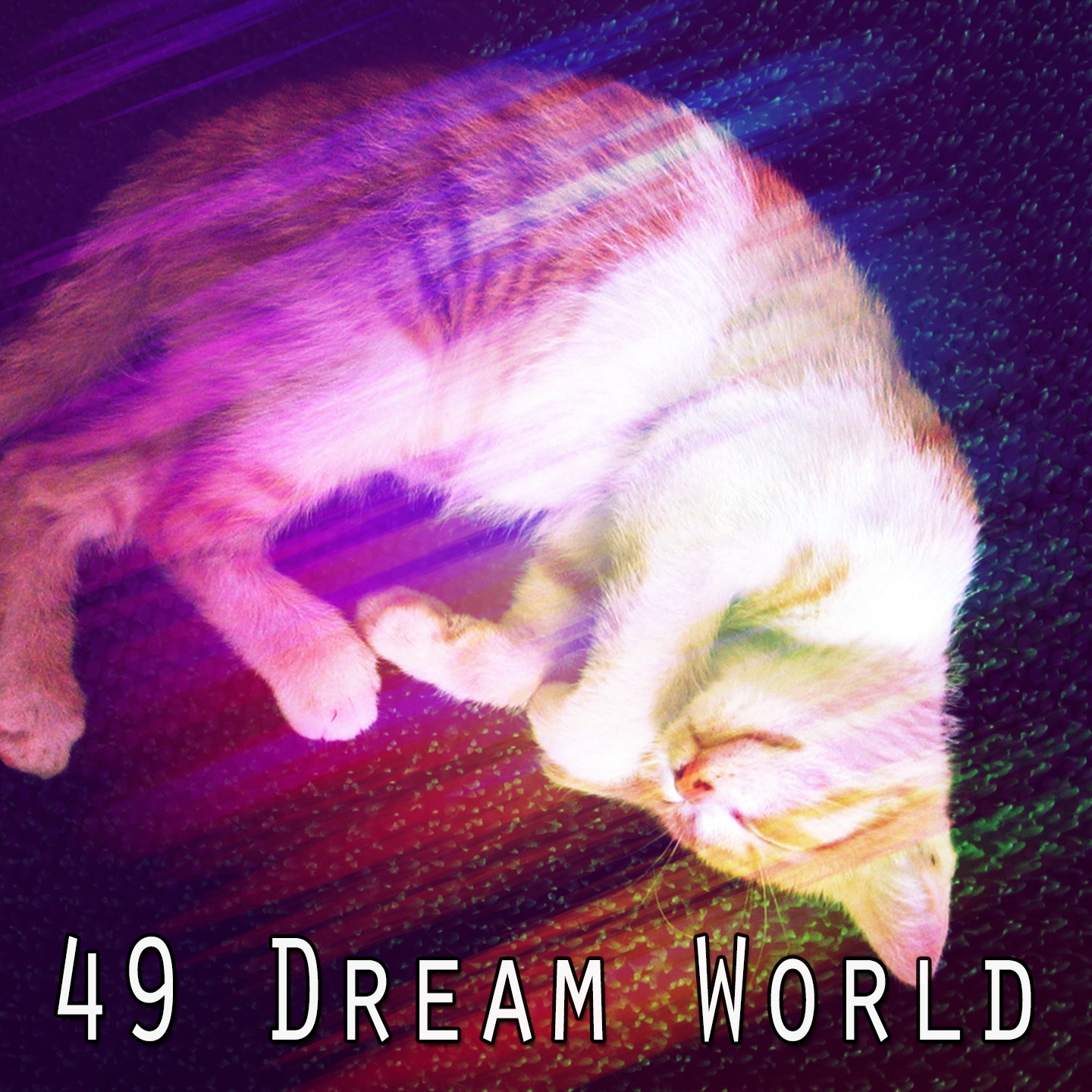 49 Dream World