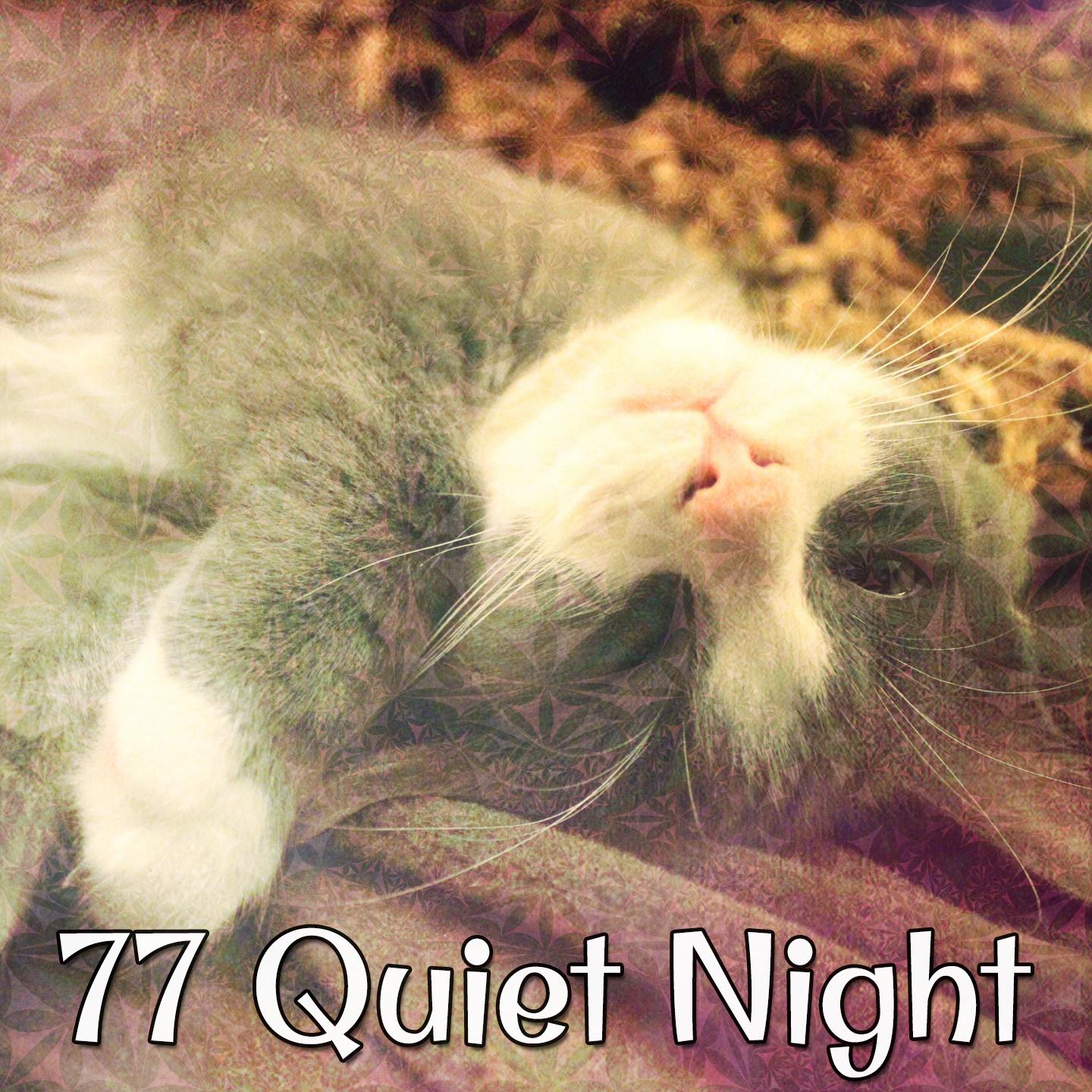 77 Quiet Night
