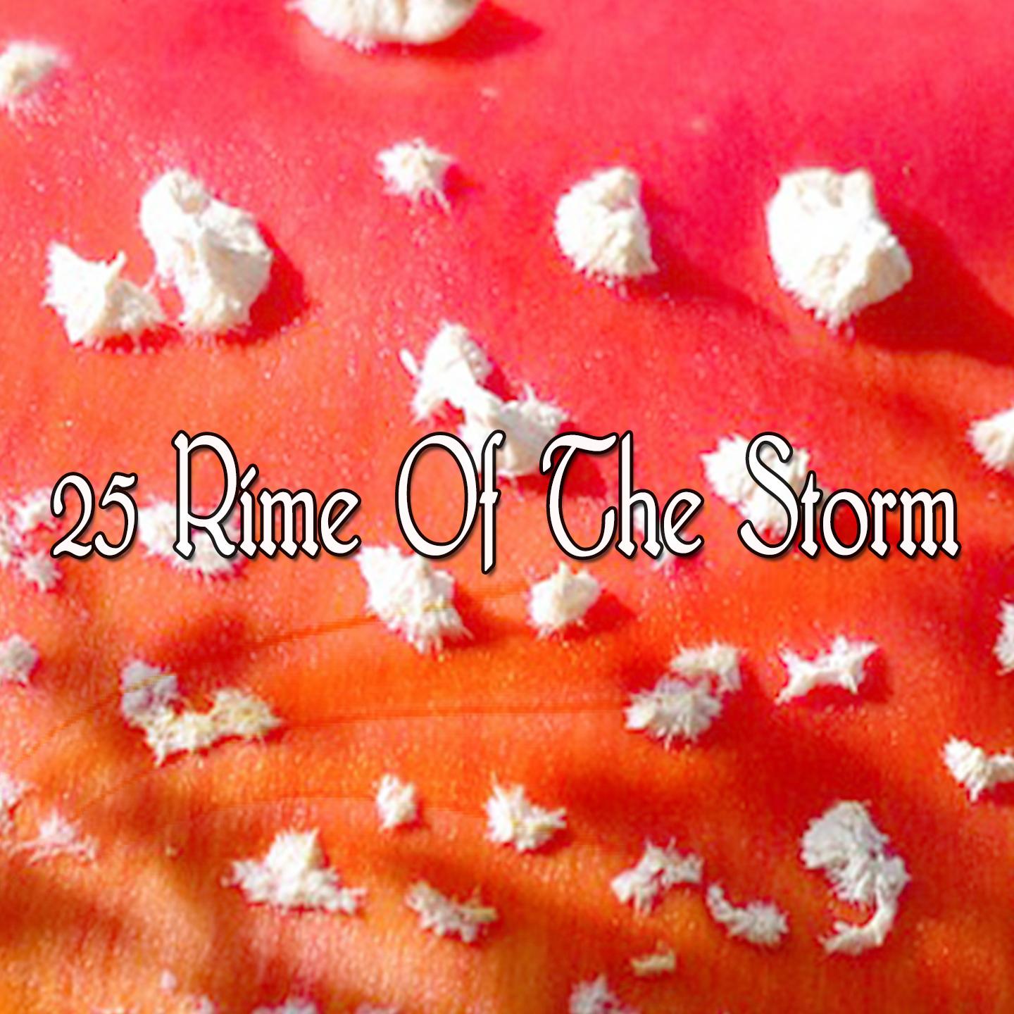 25 Rime Of The Storm