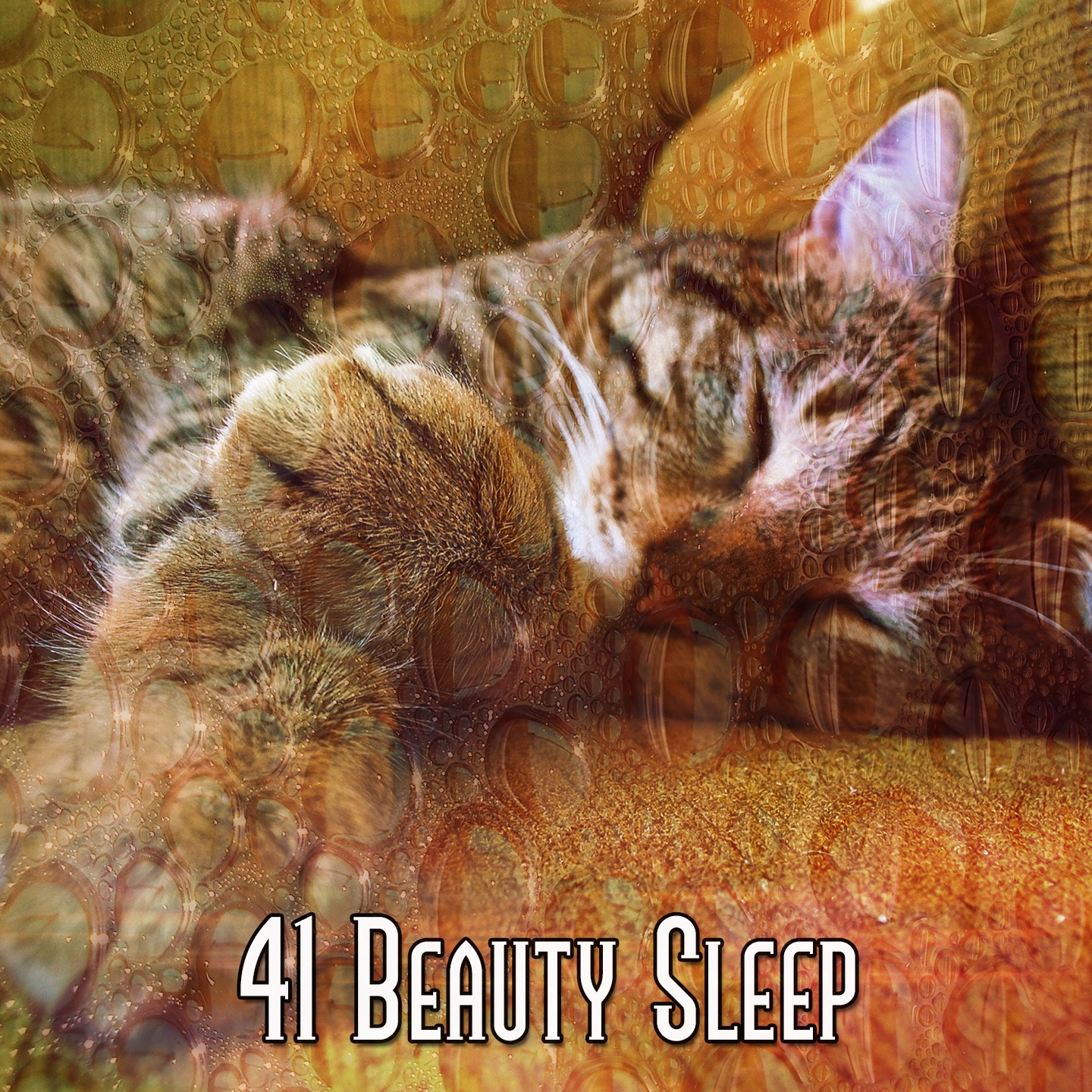 41 Beauty Sleep